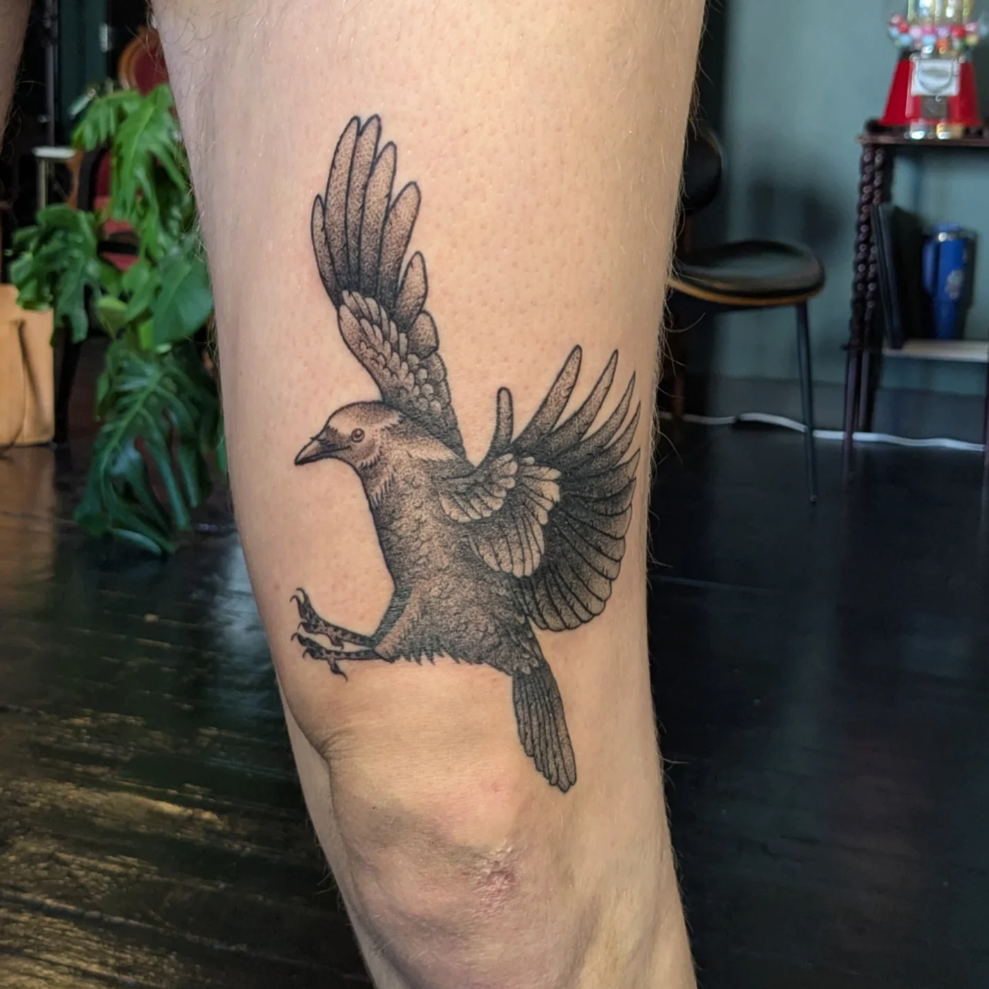 Crow dotwork tattoo on the forearm by Madison Cañedo ✺ Portland tattoo