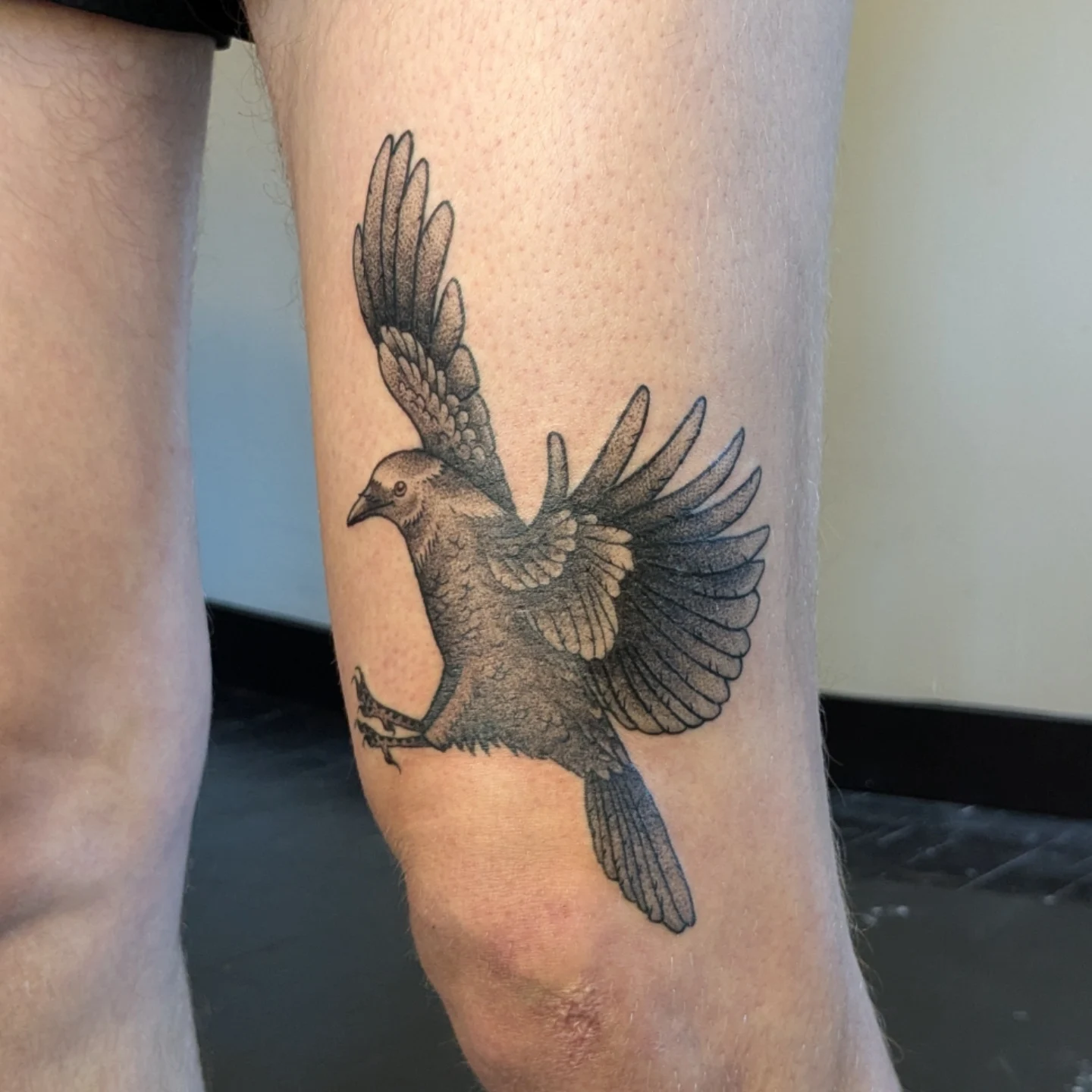 Bird dotwork tattoo on the forearm by Madison Cañedo ✺ Portland tattoo