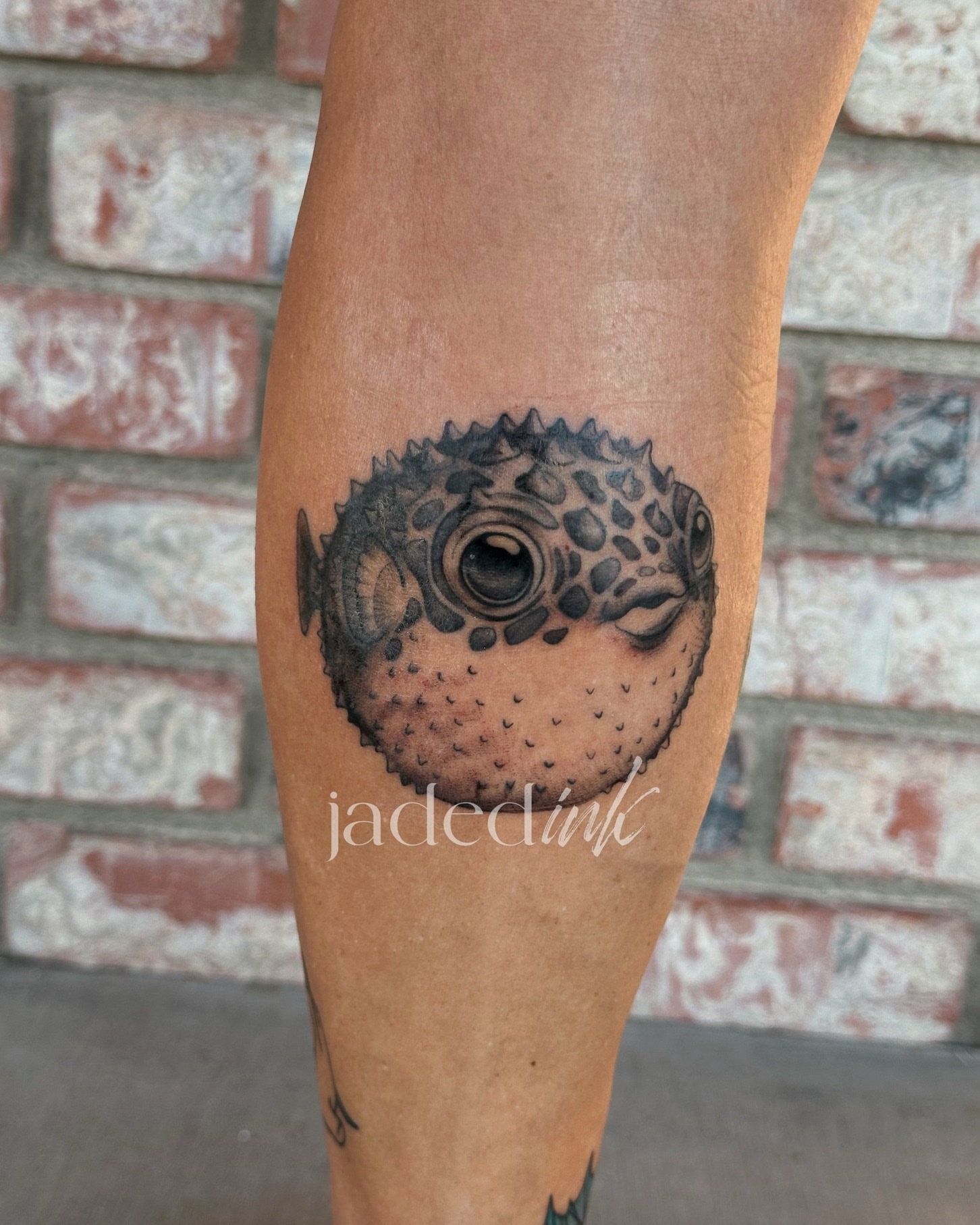 Puffer fish realism tattoo on the forearm by 𝑱𝒂𝒅𝒆𝒅 𝑰𝒏𝒌 𝑷𝒆𝒓𝒎𝒂𝒏𝒆𝒏𝒕 𝑴𝒂𝒌𝒆𝒖𝒑 & 𝑻𝒂𝒕𝒕𝒐𝒐