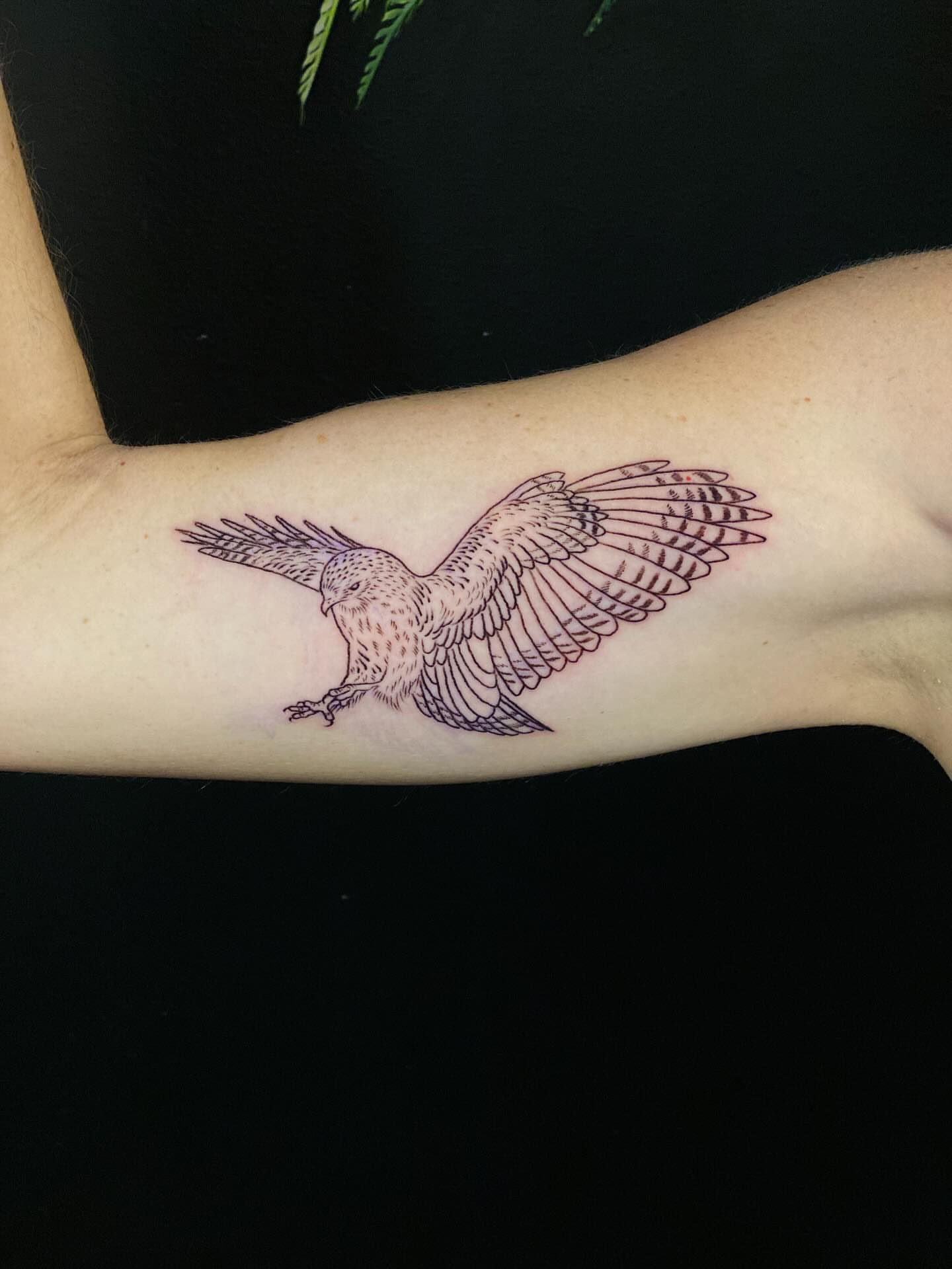 Hawk realism tattoo on the forearm by Annie Mess