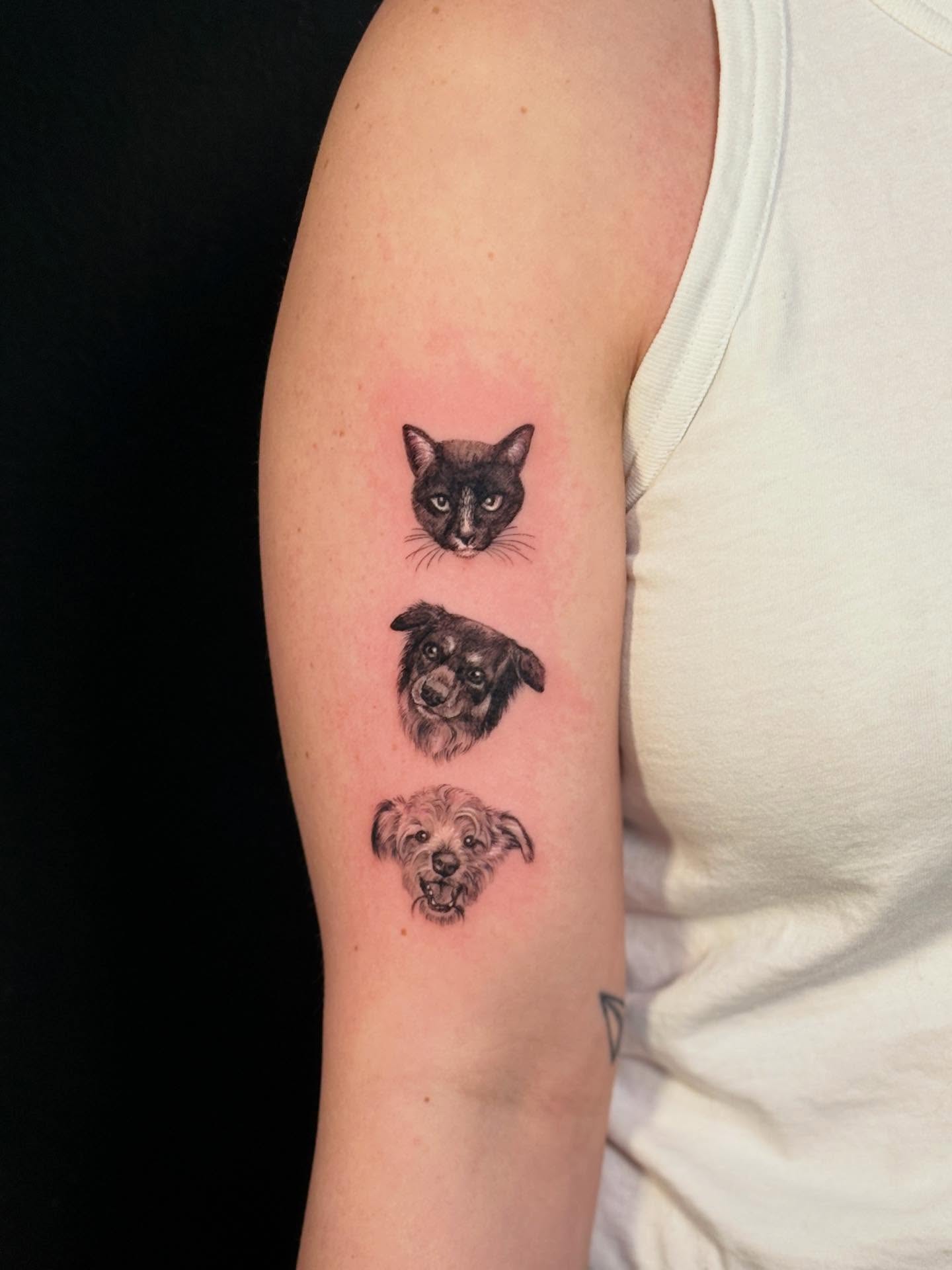 Pet portraits realism tattoo on the forearm by Annie Mess