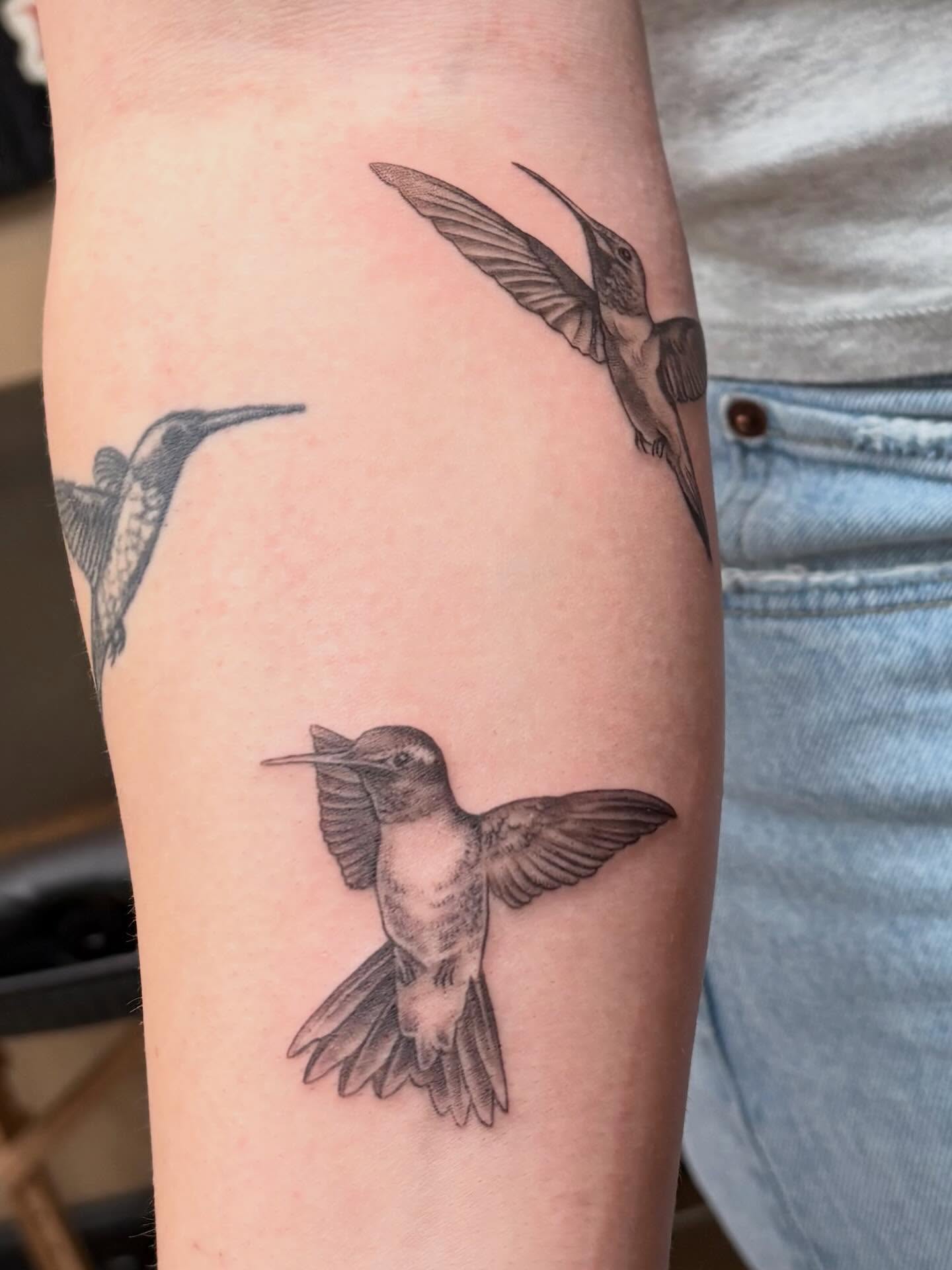 Hummingbird black and grey tattoo on the forearm by Adriana Wimler