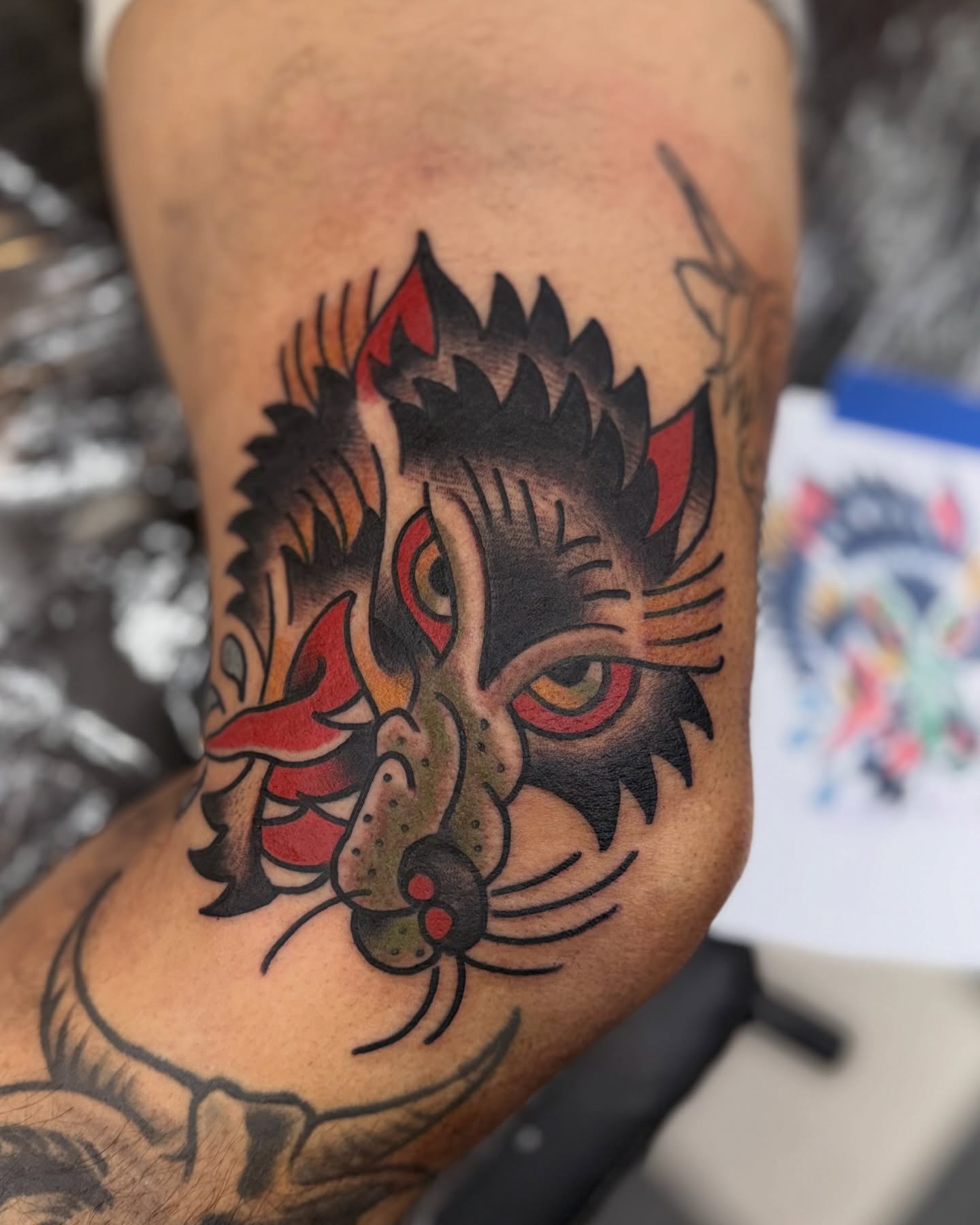 Cat American traditional tattoo on the forearm by Ricky Salinas Jr. π€, San Antonio, Texas