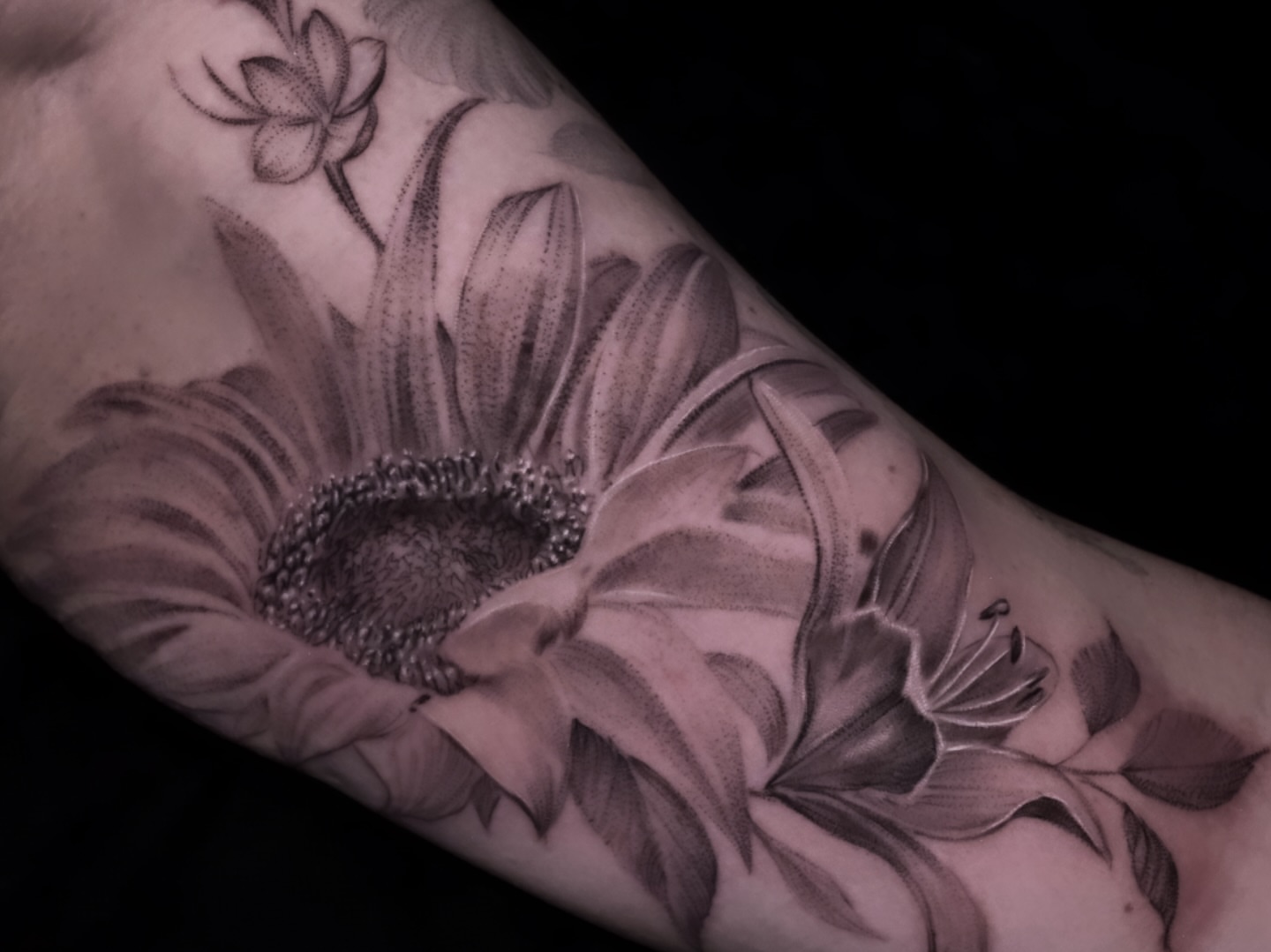 Sunflower black and grey tattoo on the forearm by AL 777, Denton, Texas