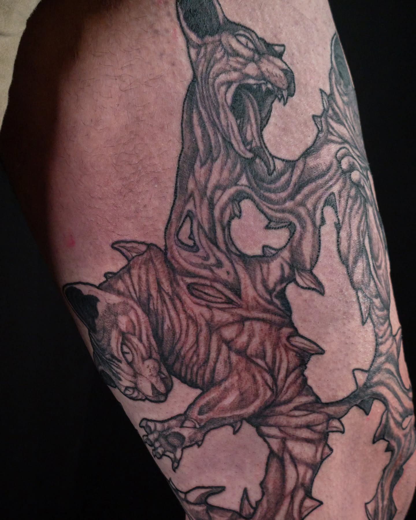 Tiger and dragon realism tattoo on the forearm by EyeSee Tattoos