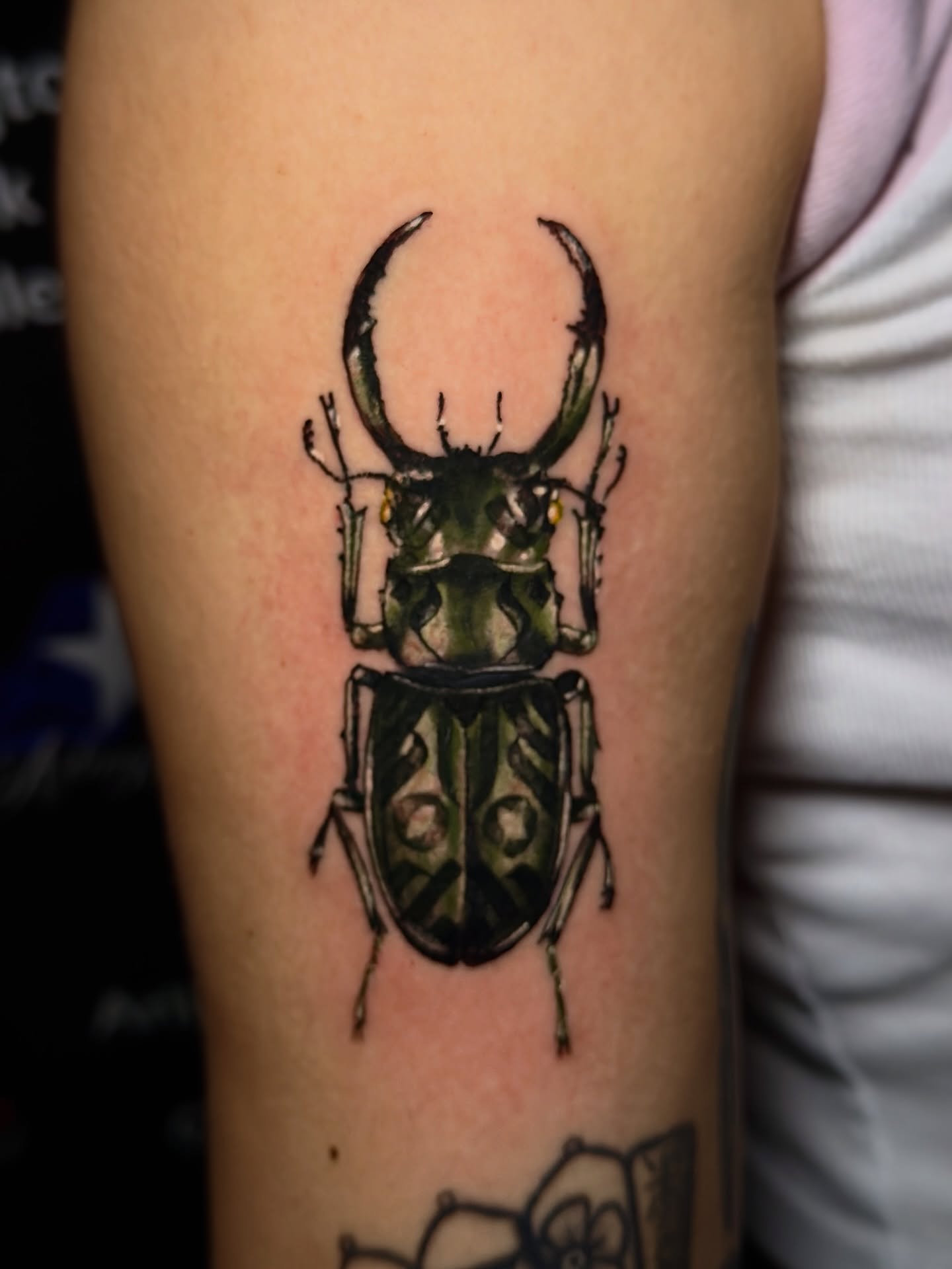 Tattoo by @na_tattoos — realism