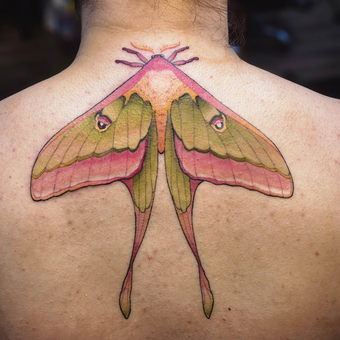 Tattoo by @mimmsytattoo — realism