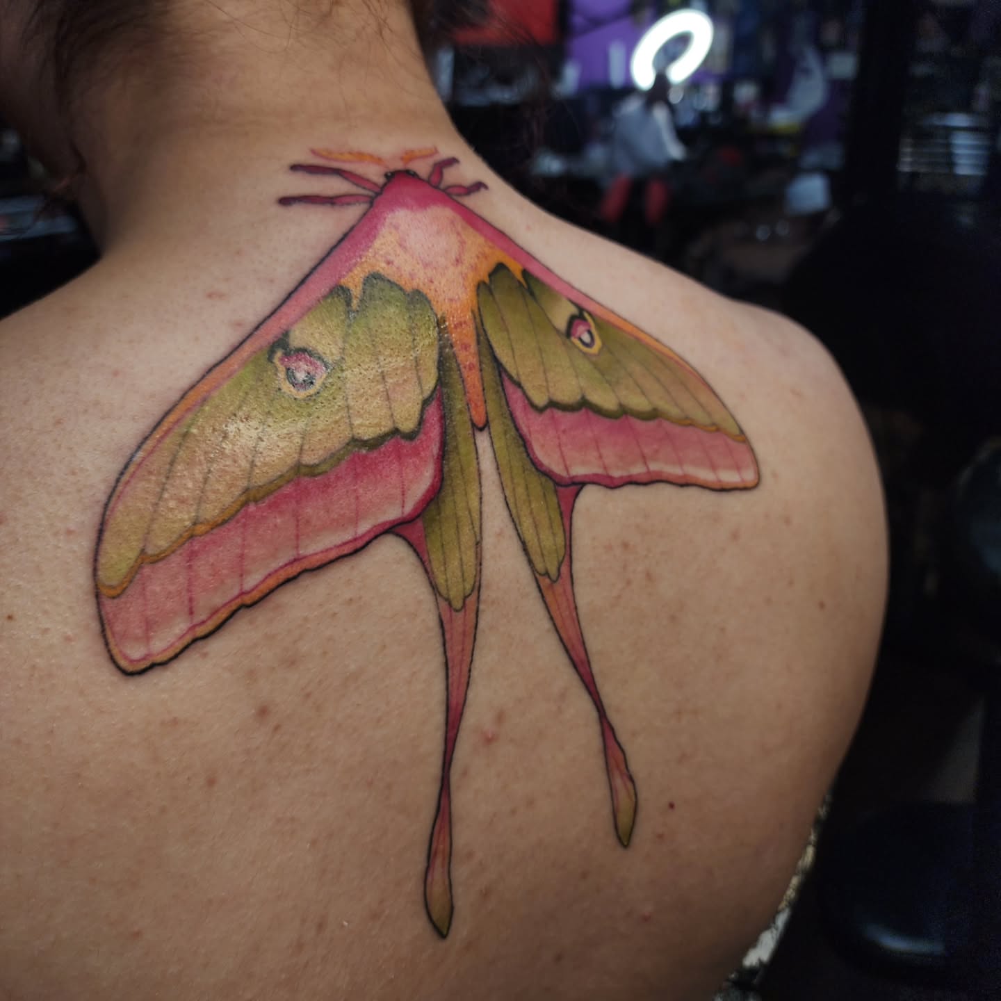 Tattoo by @mimmsytattoo — realism