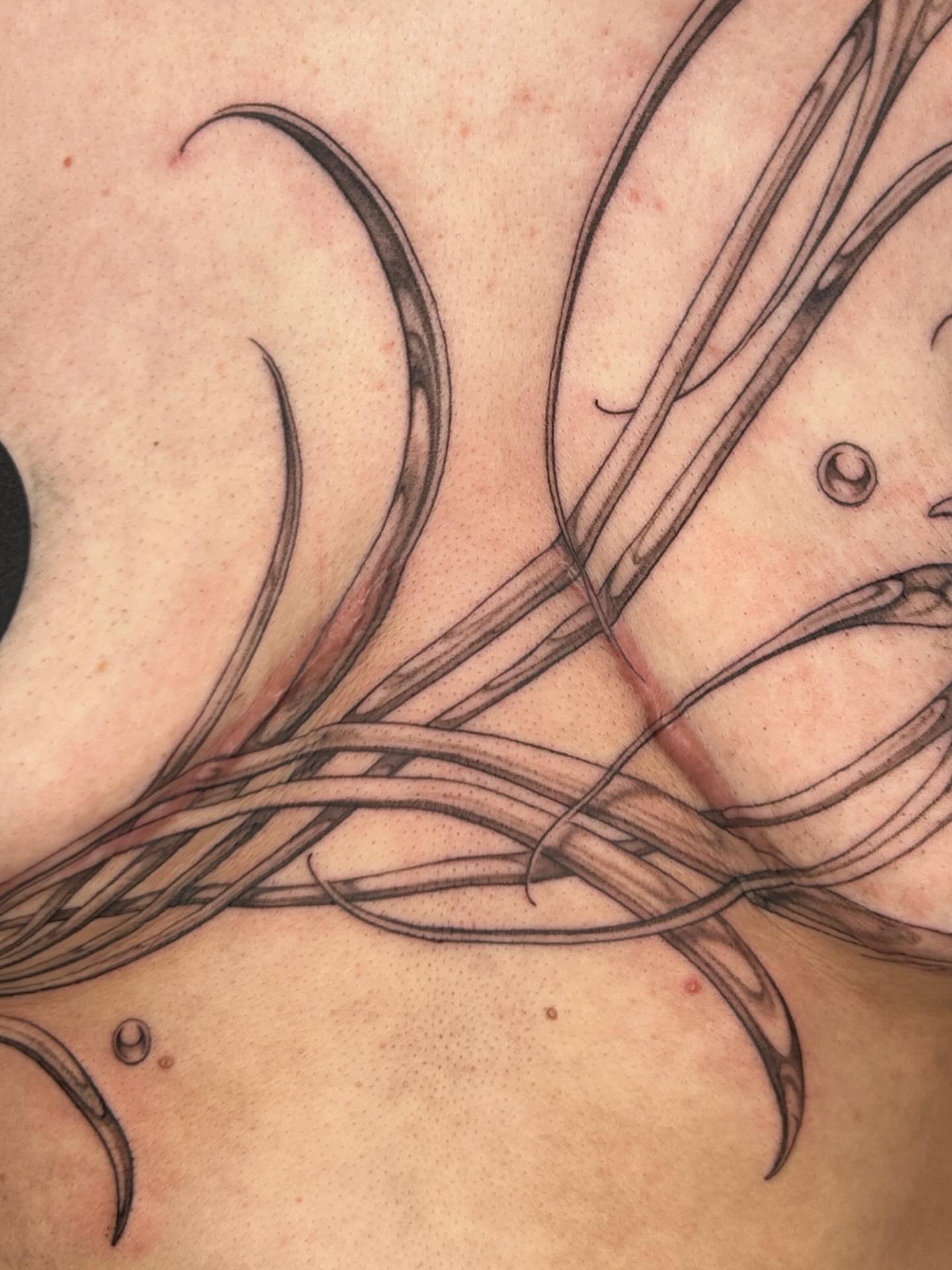 Tattoo by @late_bloom3r — black_and_grey