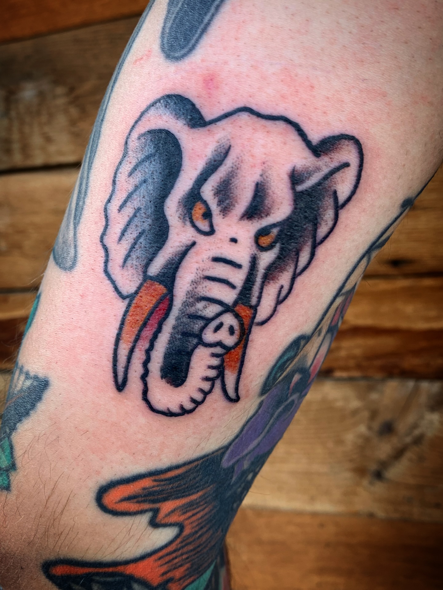 Elephant head American traditional tattoo on the forearm by Tattoos Las Vegas,NV