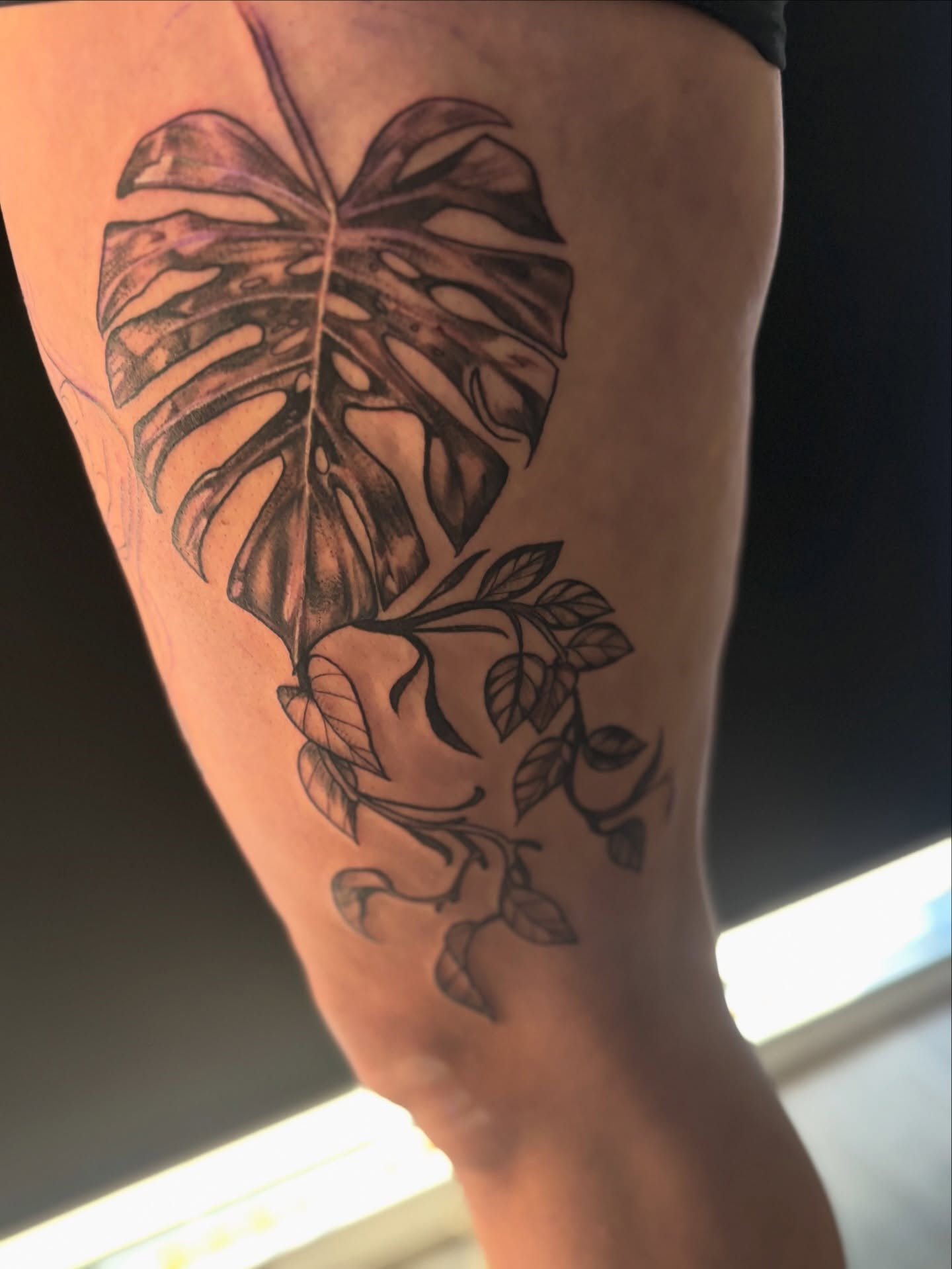 Monstera leaf black and grey tattoo on the thigh by Calen Copeland