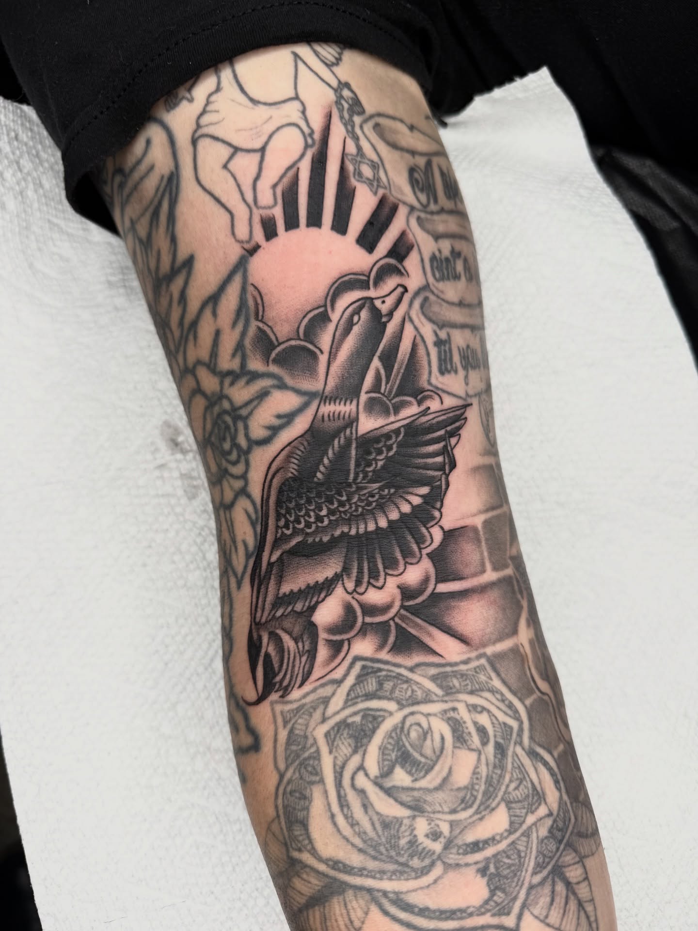 Roaring bird American traditional tattoo on the forearm by Joe Weber, Monona, Wisconsin