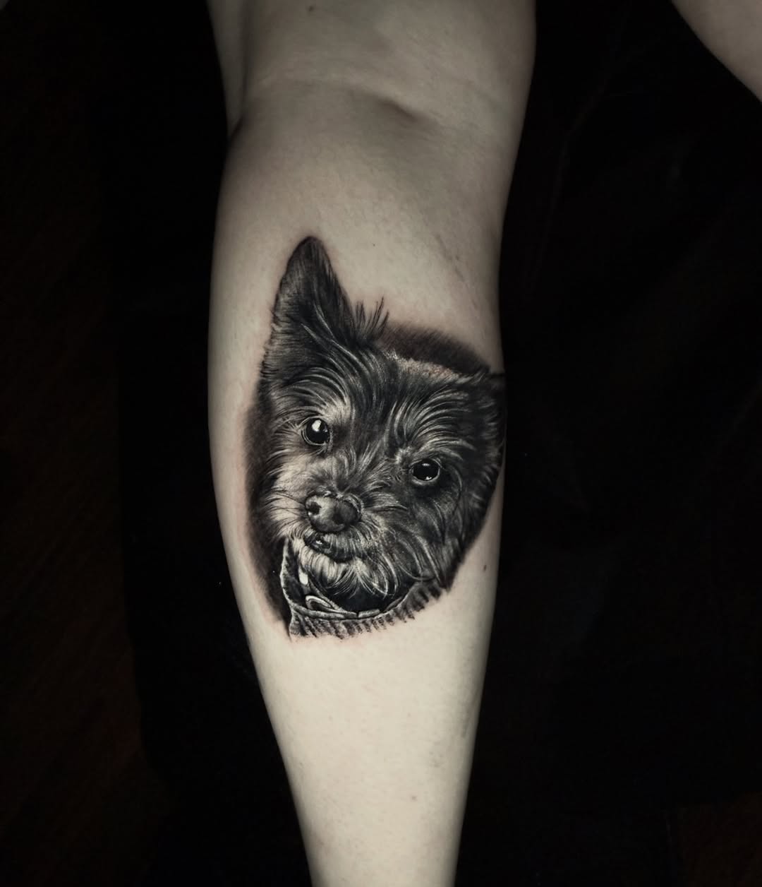 Dog portrait realism tattoo on the forearm by Kelsey Kemp
