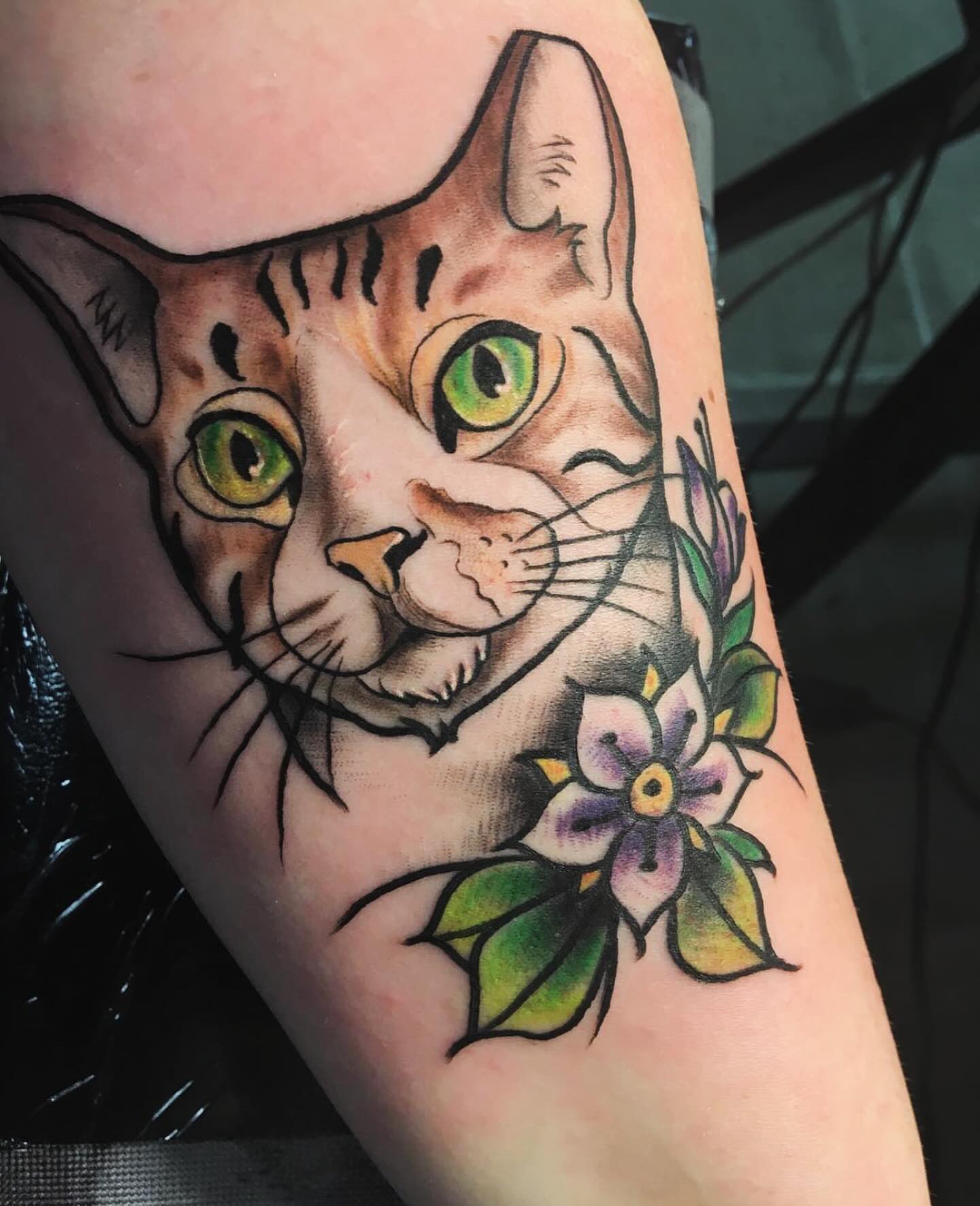 Cat American traditional tattoo on the forearm by Brandon Harrison, Kansas City, Missouri