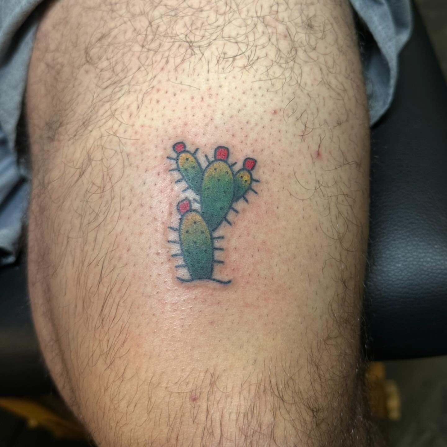 Cactus dotwork tattoo on the leg by Kerri Colello Sittenauer