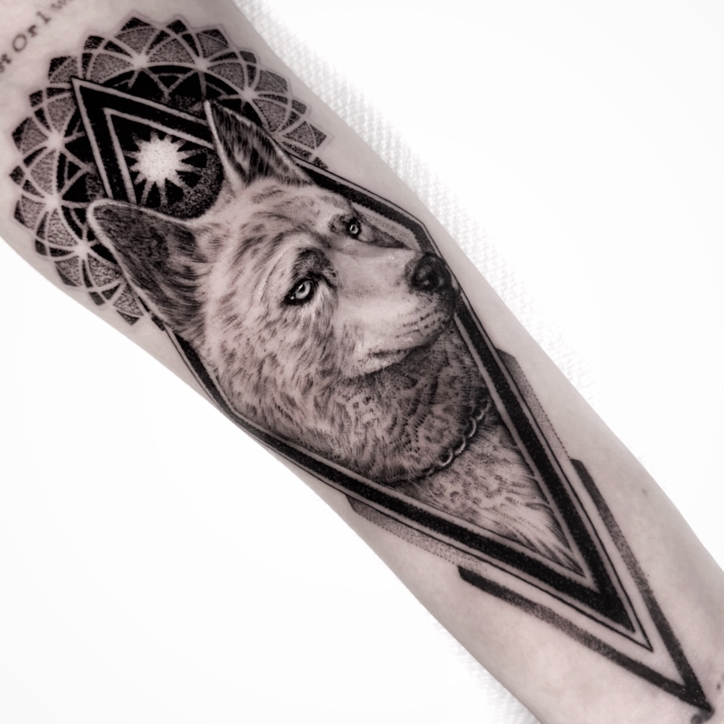 Tattoo by @ninjakixxtattoo — black_and_grey, realism