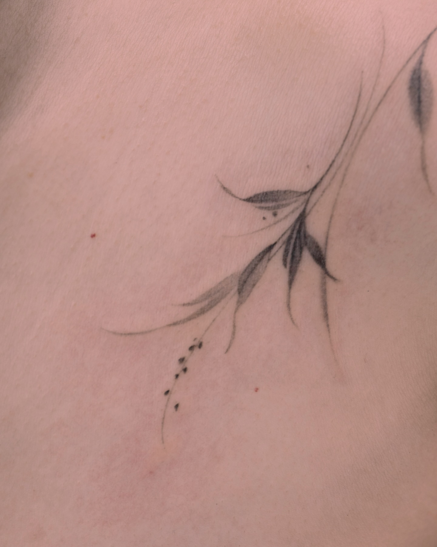 Floral design black and grey tattoo on the chest by Tattooist hea