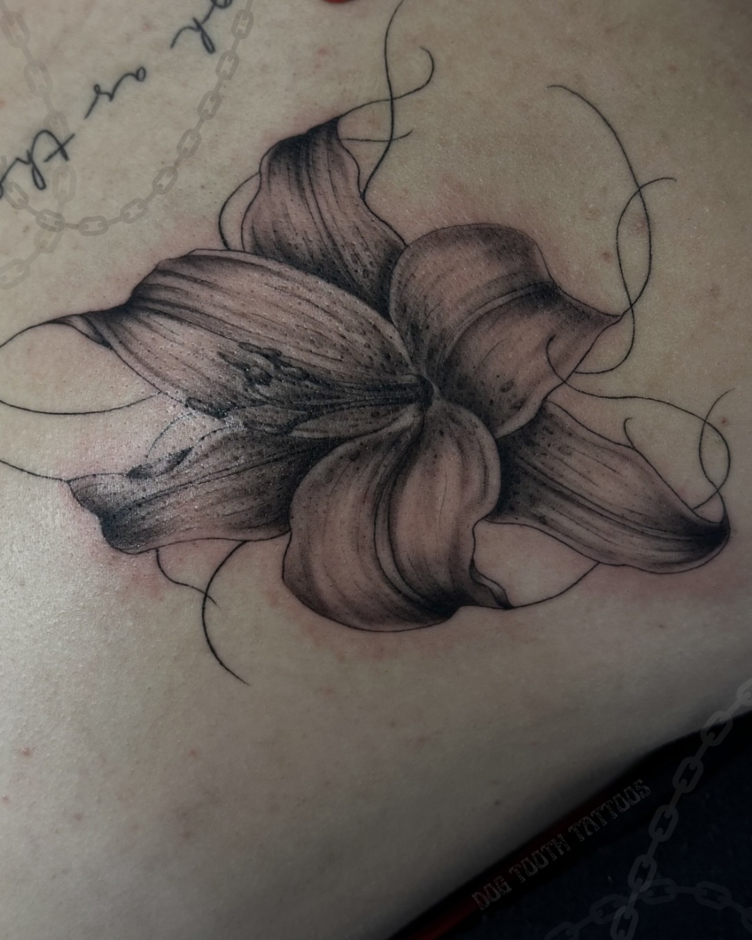 Tattoo by @dogtoothtattoos — black_and_grey, realism