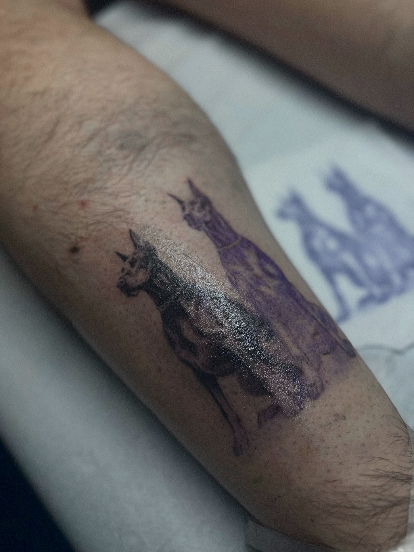 Tattoo by @mitchelkelftattoo — realism