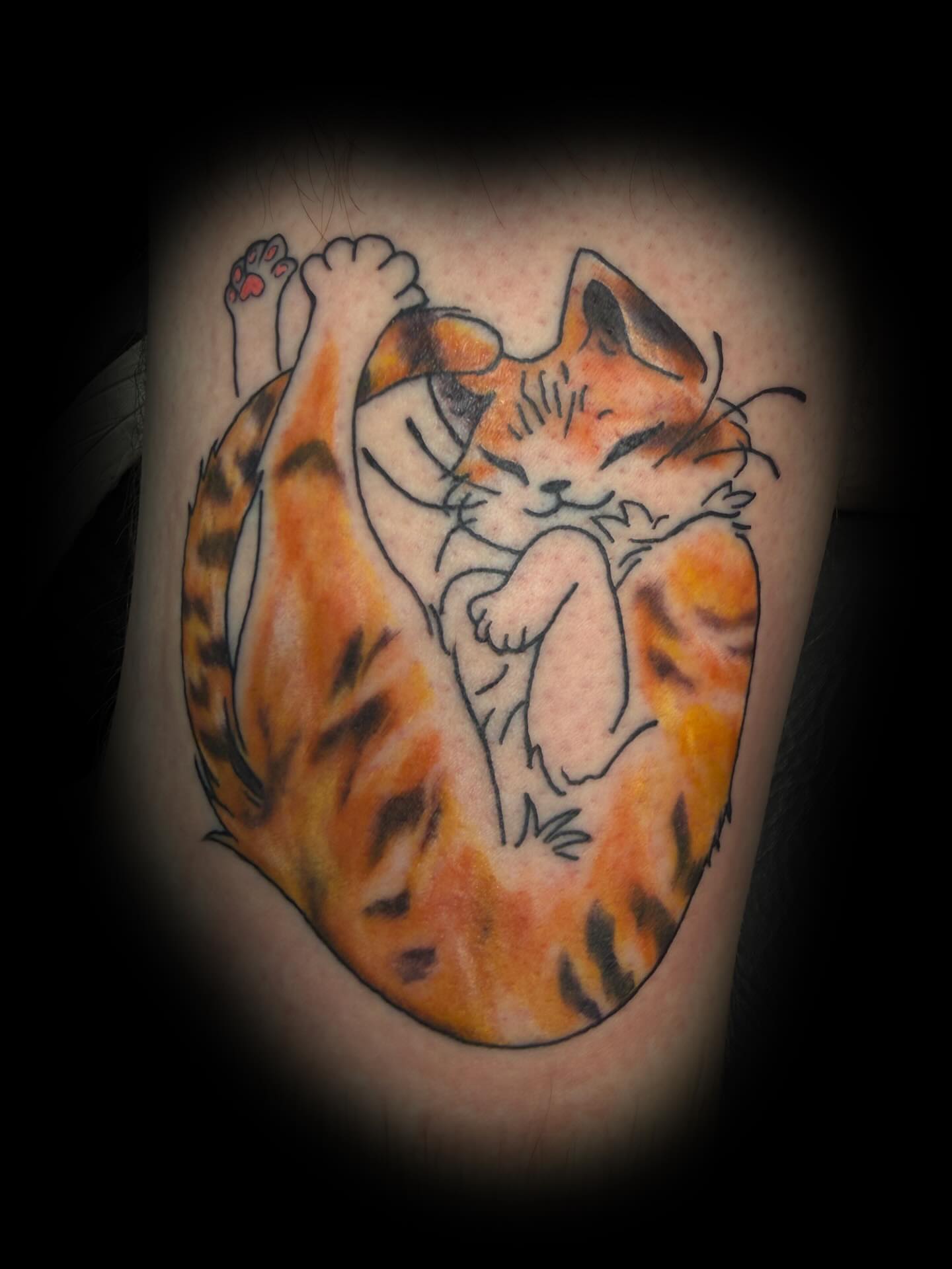 Cat American traditional tattoo on the forearm by sᴋᴇᴛᴄʜᴇᴅ