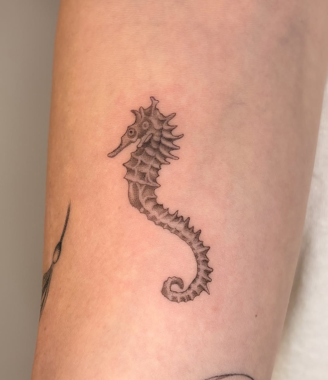 Tattoo by @manuel.dinstruction — dotwork, black_and_grey