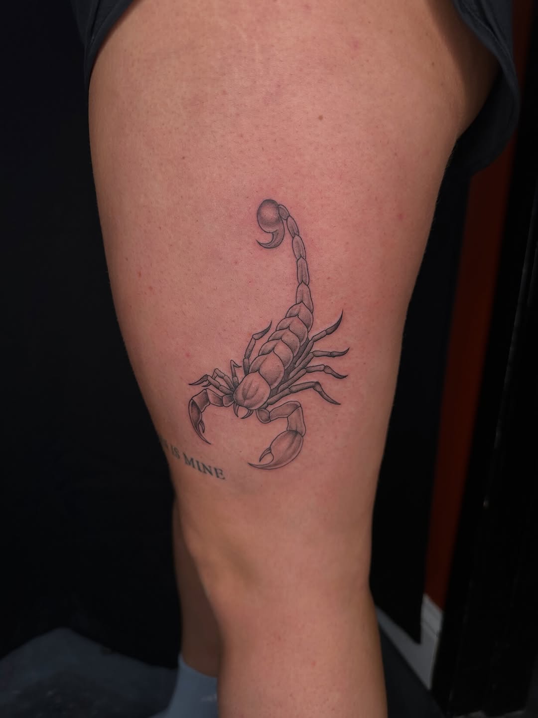 Tattoo by @allhailtattoos_ — fine_line, black_and_grey