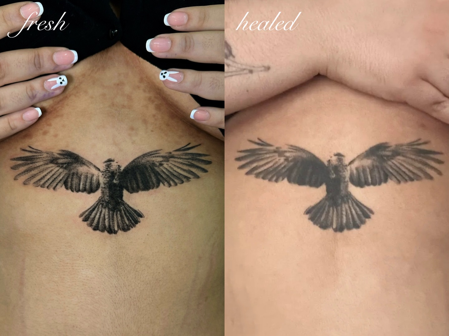 Bird black and grey tattoo on the back by kale