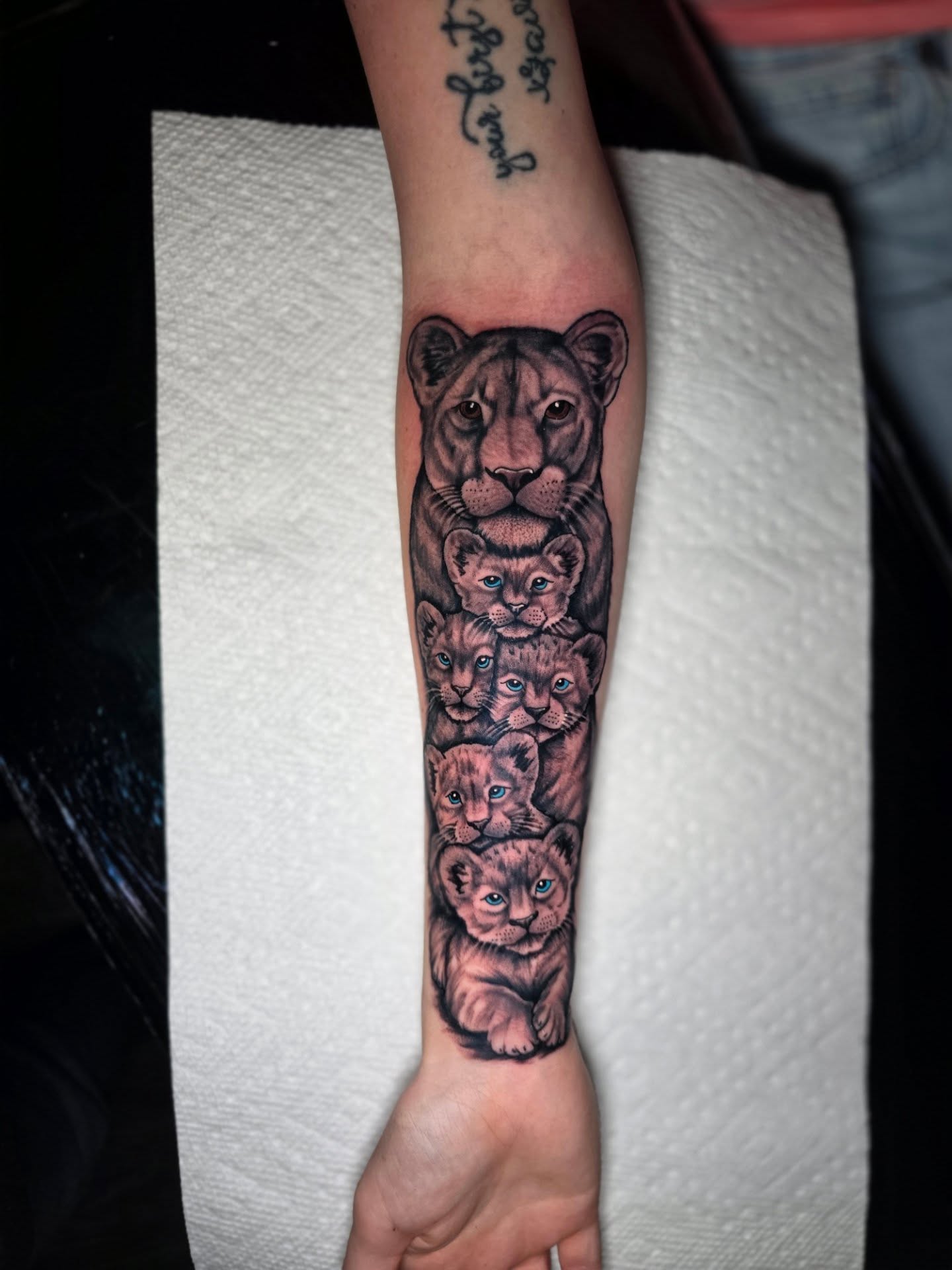 Lion family realism tattoo on the forearm by Dylan Fowler
