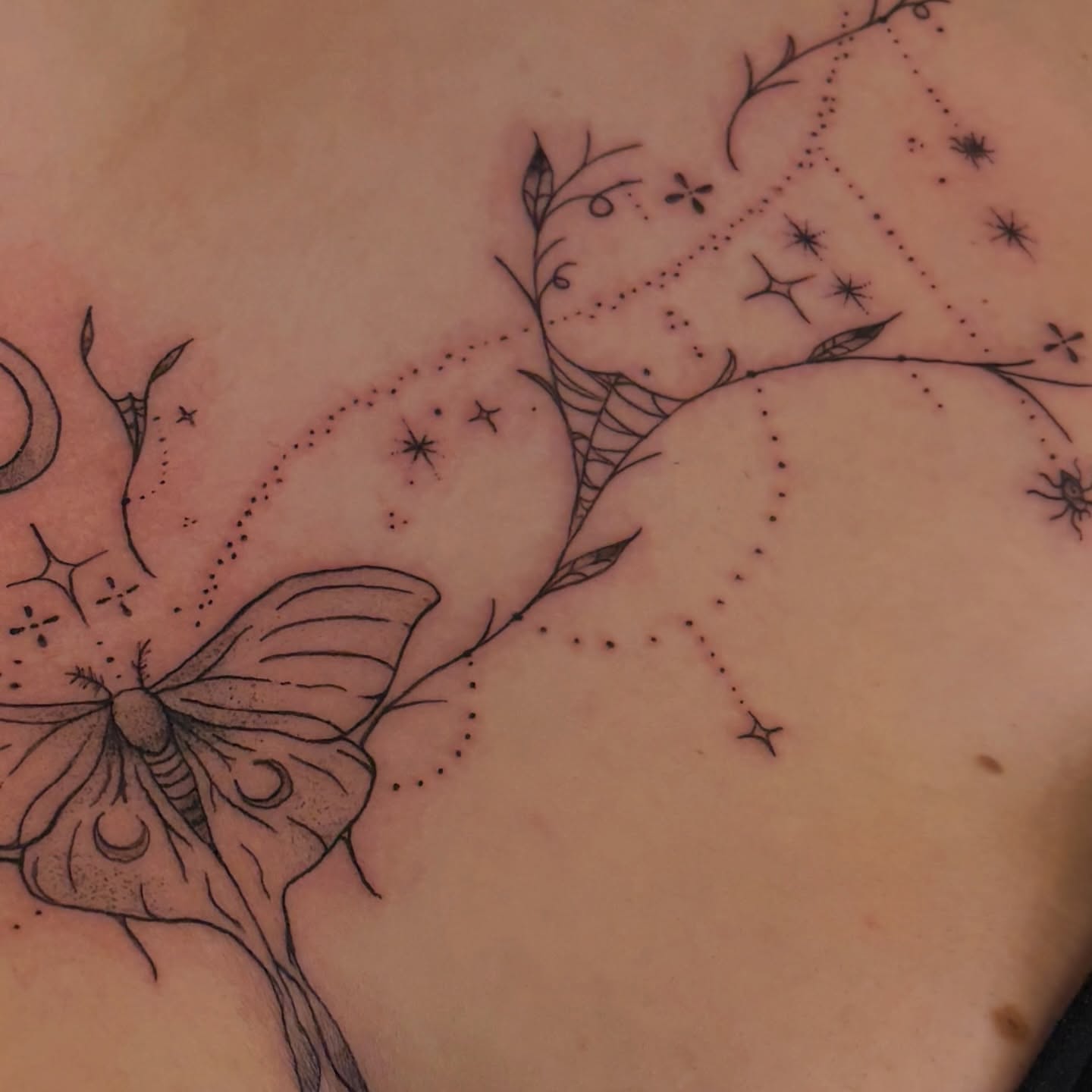 Butterfly and floral dotwork tattoo on the torso by Emma🌸✨Austin Tattoo Artist