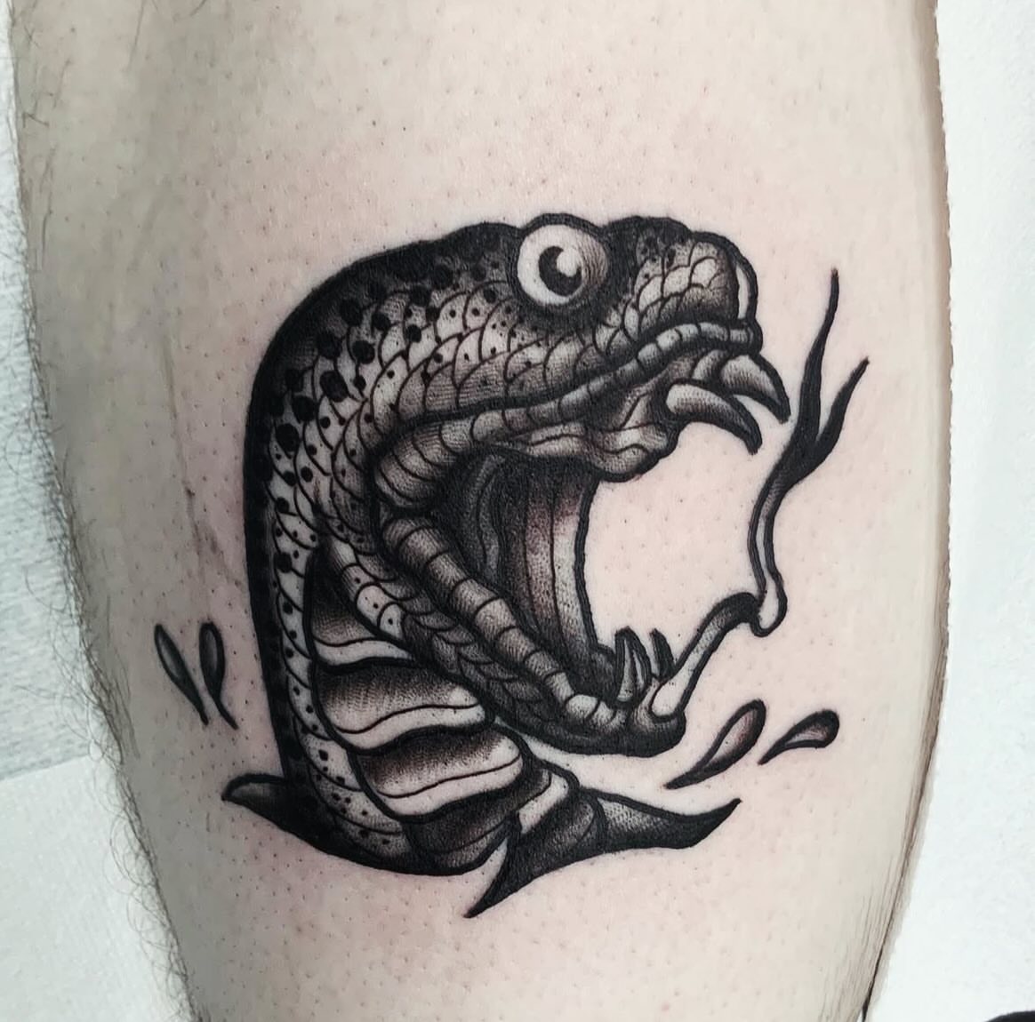 Snake black and grey tattoo on the forearm by Brandon Harrison, Kansas City, Missouri