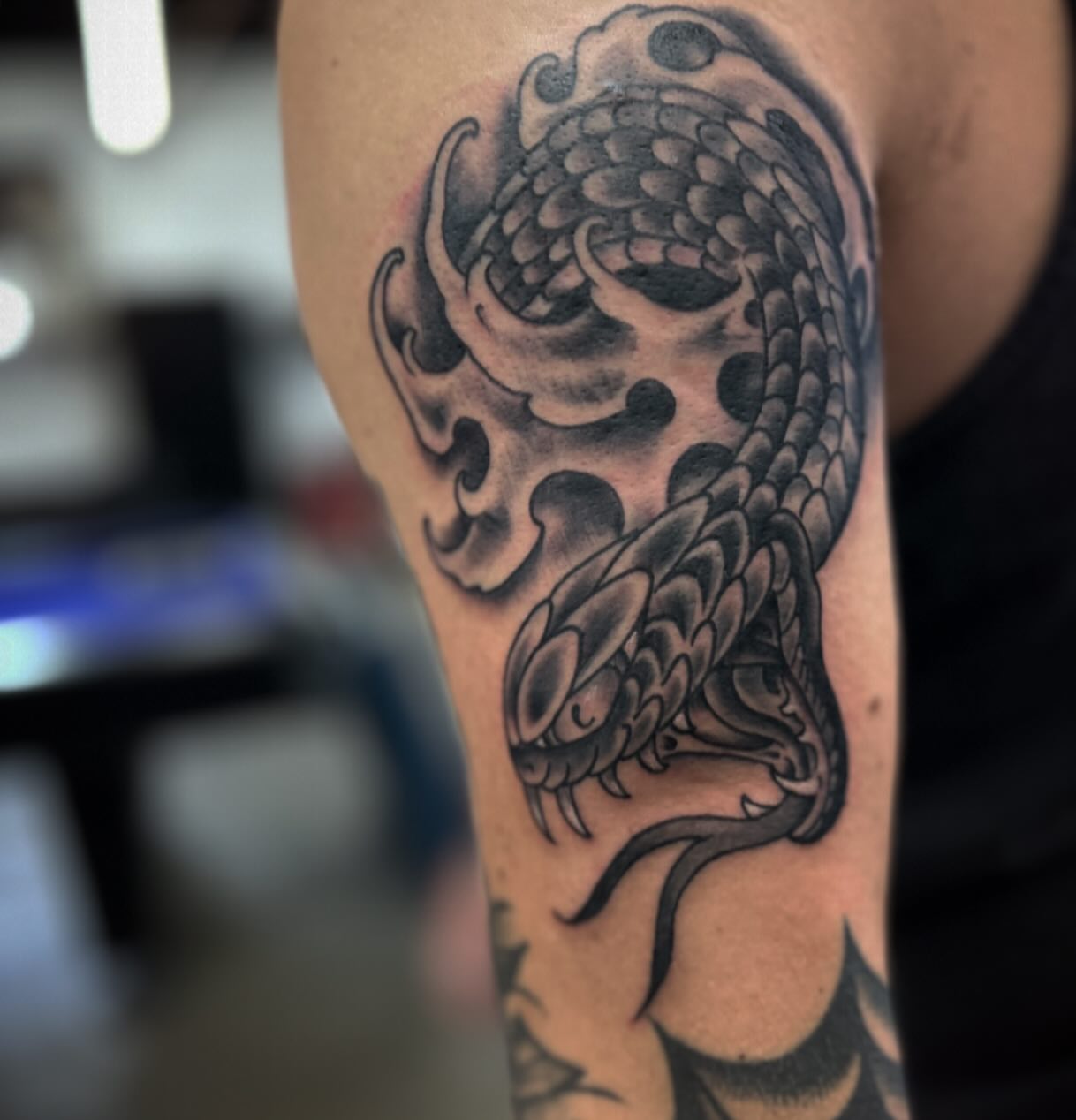 Snake black and grey tattoo on the forearm by Dylan O'Quin