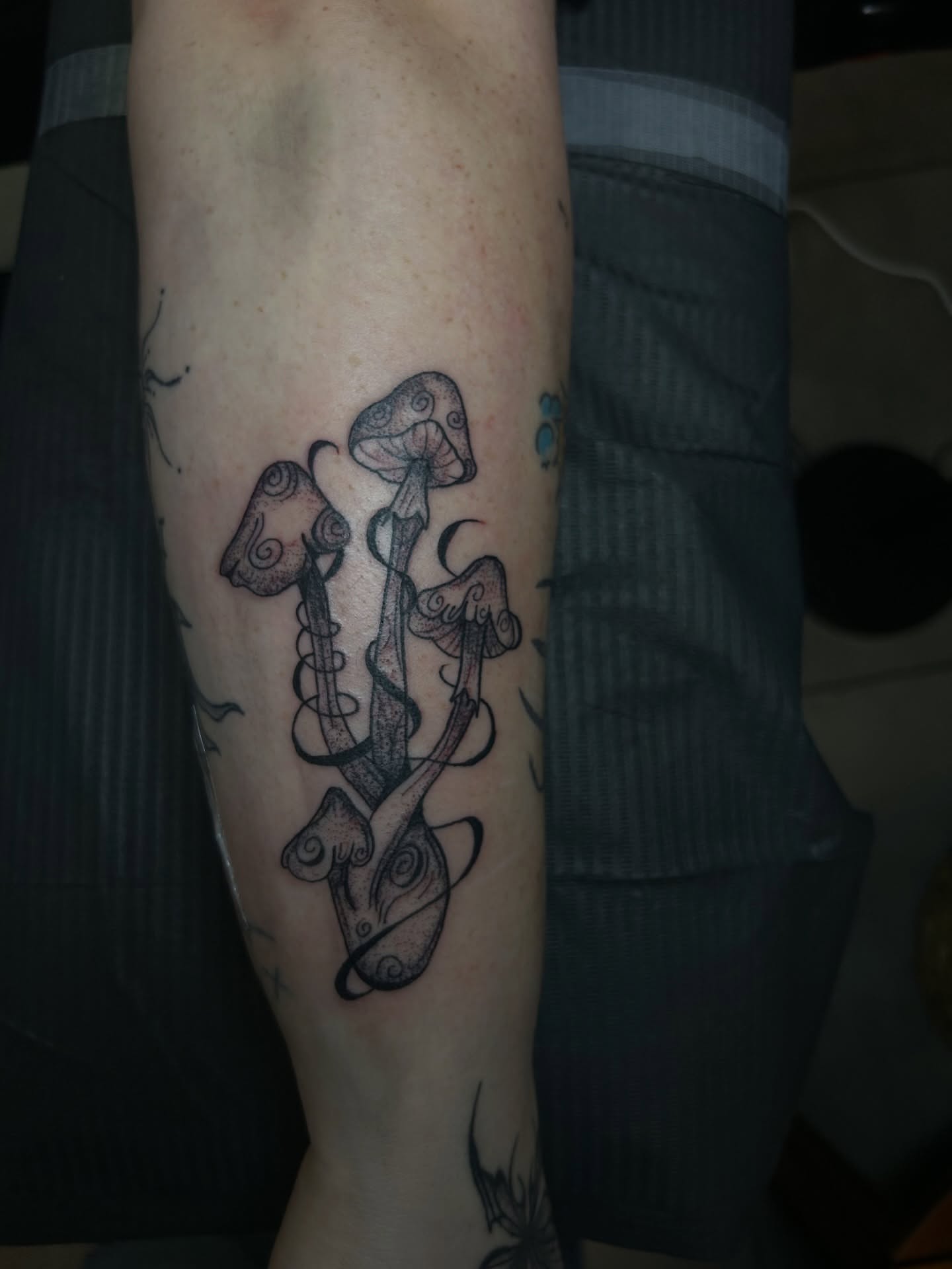 Mushroom cluster black and grey tattoo on the forearm by Torrey, Austin, Texas