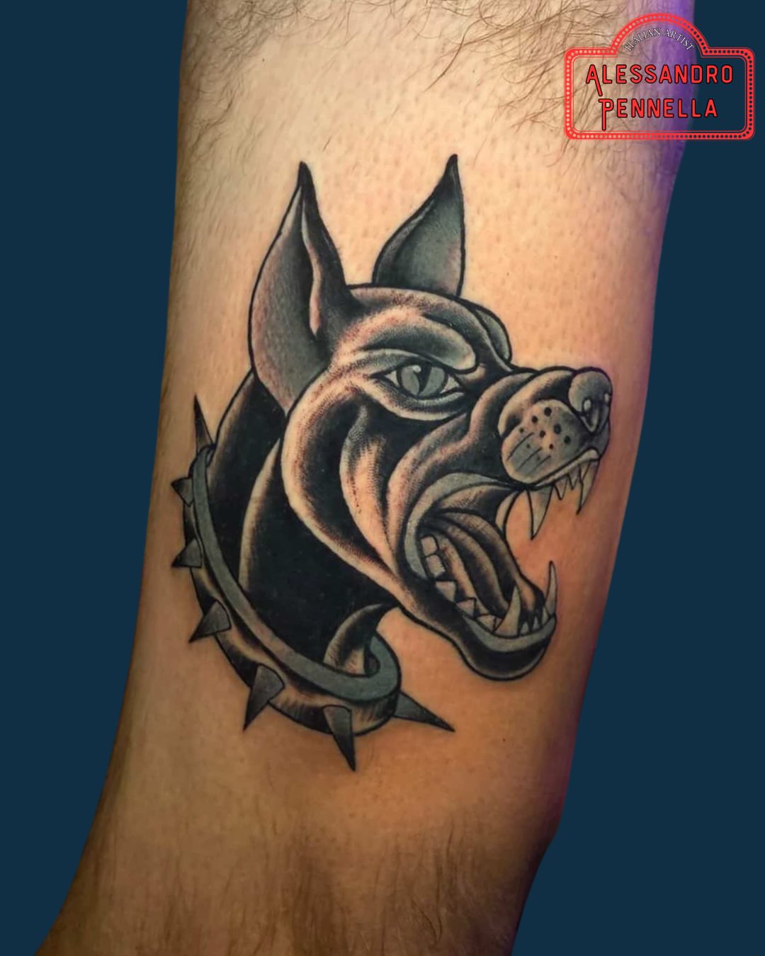 Bulldog head American traditional tattoo on the forearm by Alessandro Pennella