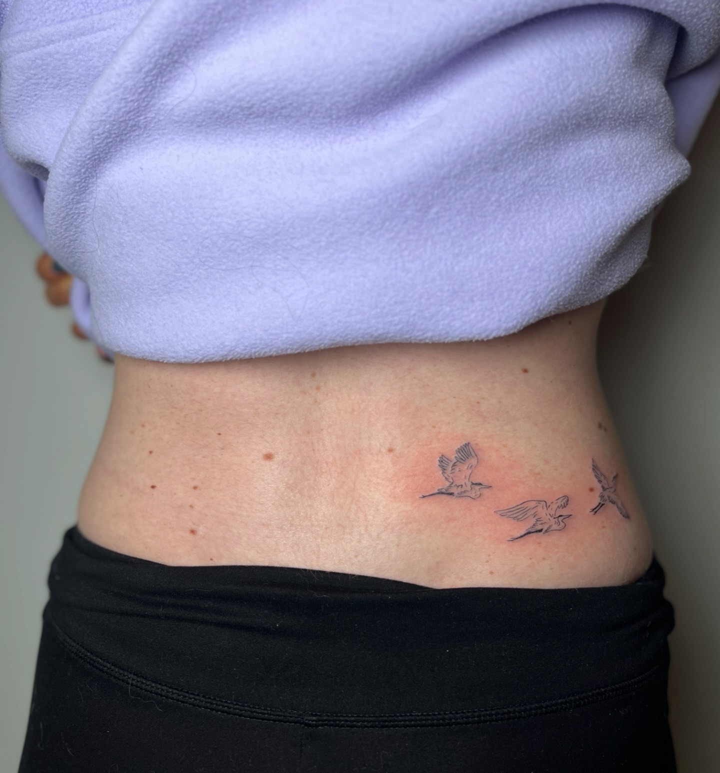 Birds black and grey tattoo on the torso by brinley - fine line tattoos, Crescent Springs, Kentucky