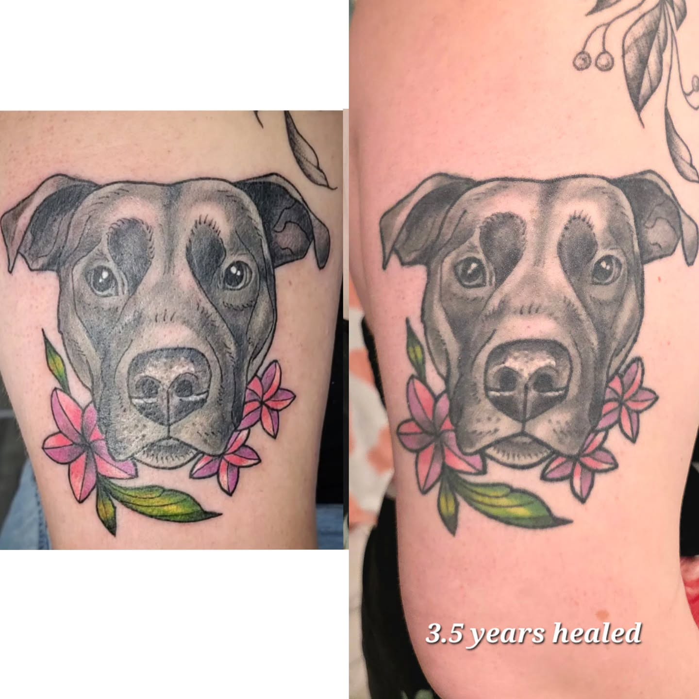 Dog portrait realism tattoo on the upper arm by April High ☆ Tattoo Artist