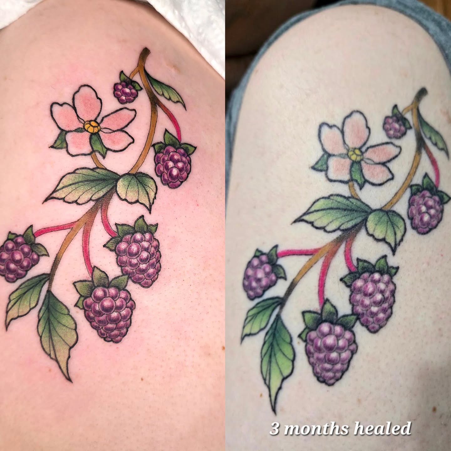 Raspberry bush with flowers new school tattoo on the shoulder by April High ☆ Tattoo Artist