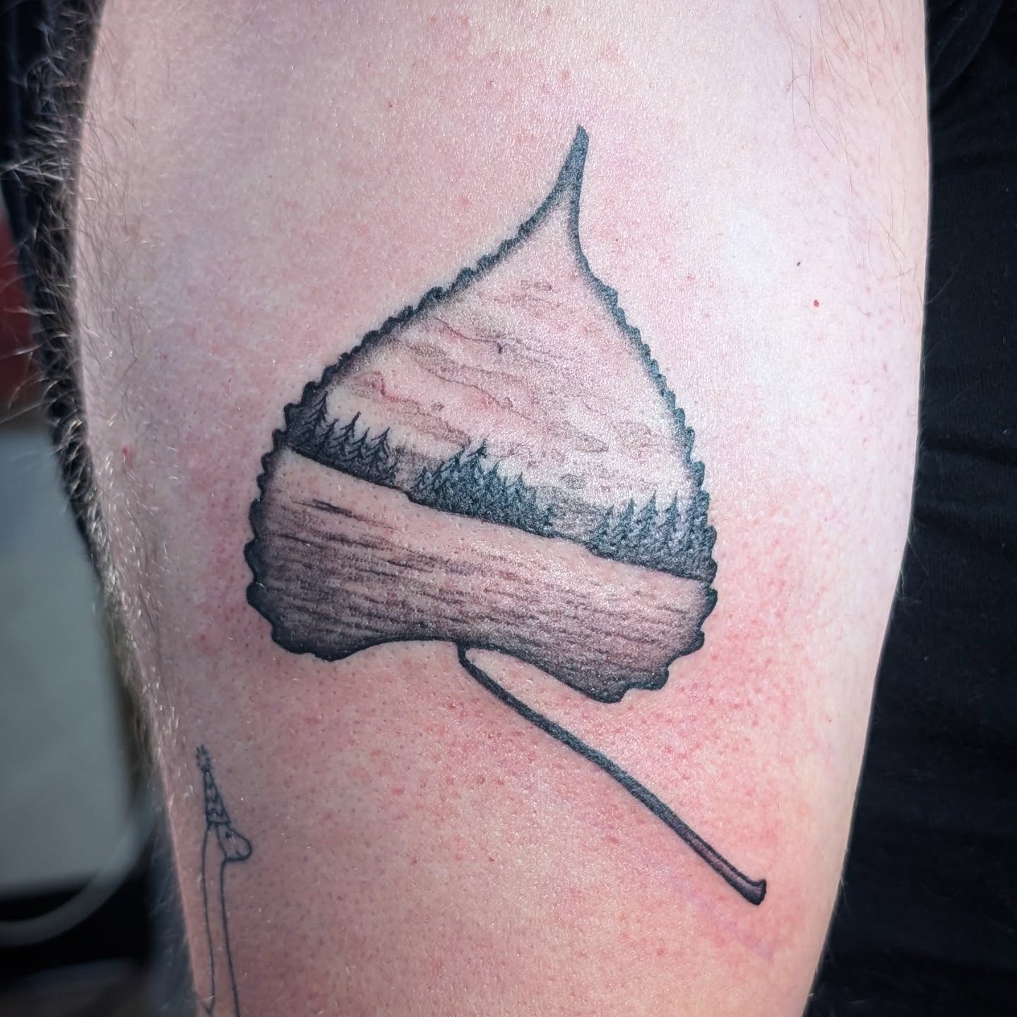 Acorn black and grey tattoo on the thigh by Michaela May