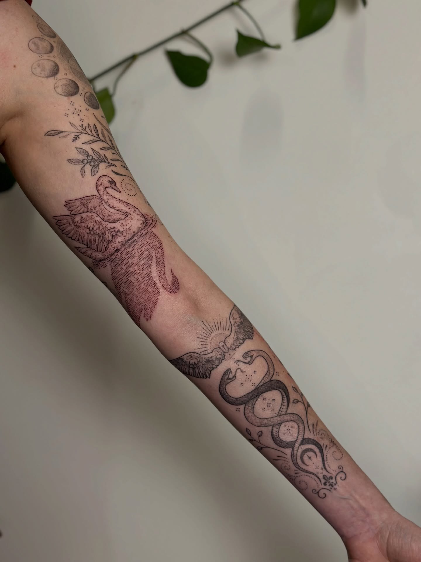 Swan and snake black and grey tattoo on the forearm by Santiago Don, Portland, Oregon