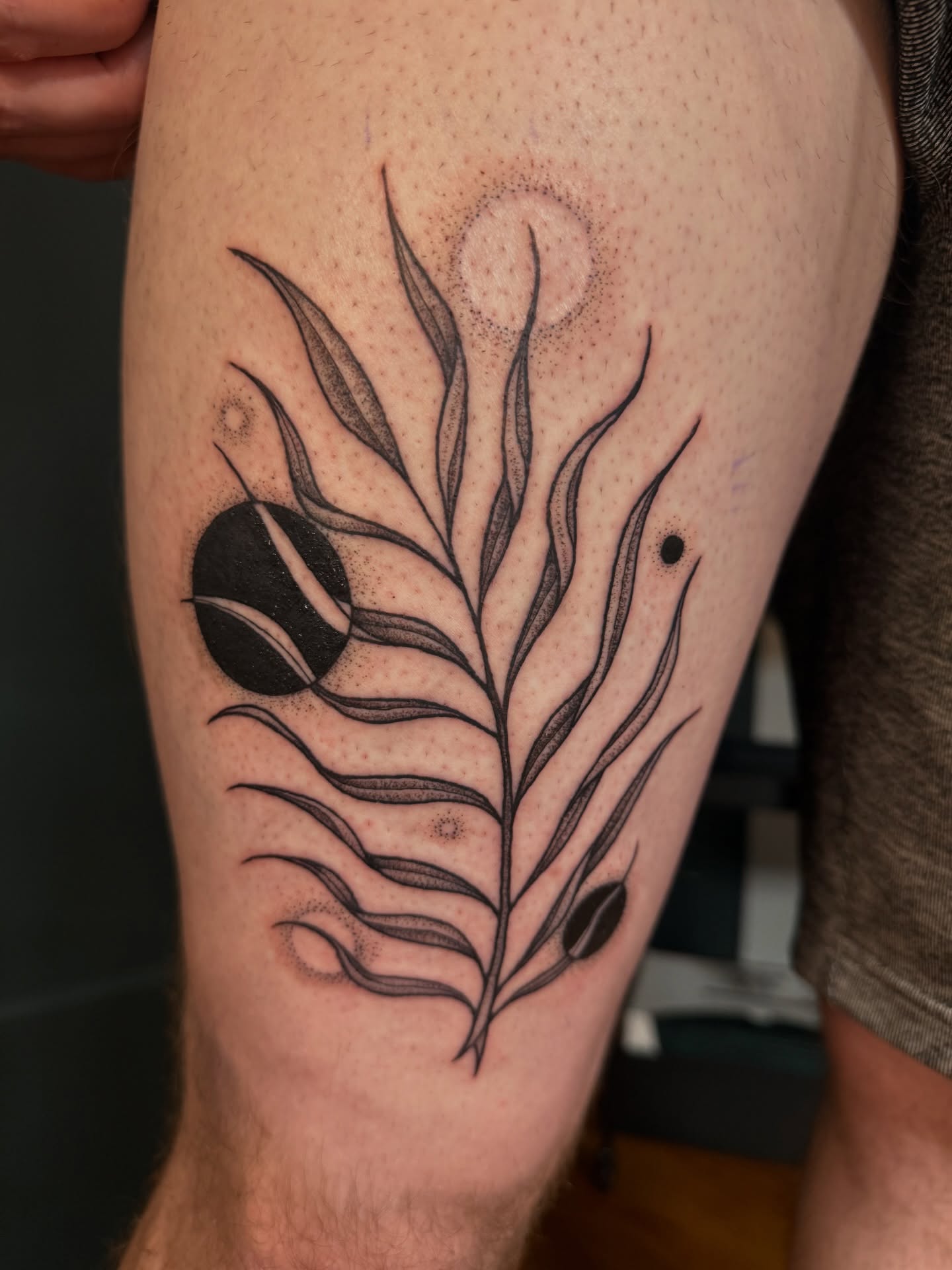 Olive branch black and grey tattoo on the thigh by Paul DeVay