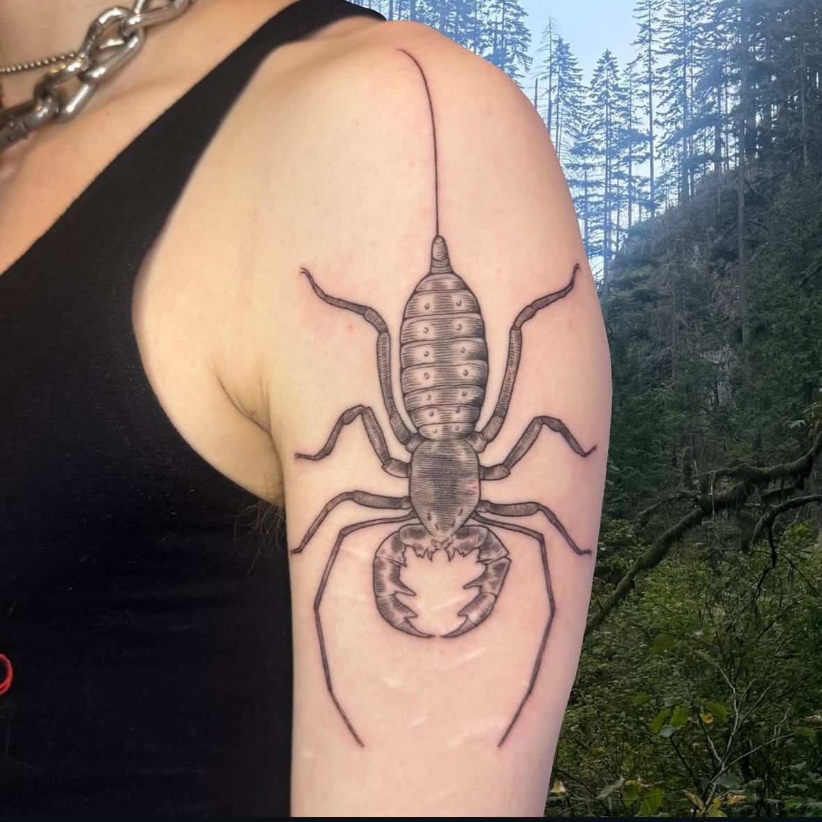 Scorpion black and grey tattoo on the upper arm by Ivy