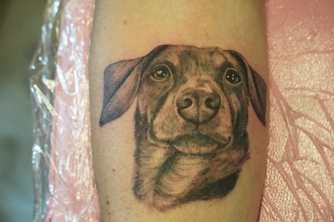 Dog realism tattoo on the forearm by Rachel, Centereach, New York