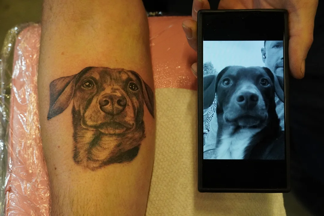 Dog realism tattoo on the forearm by Rachel, Centereach, New York