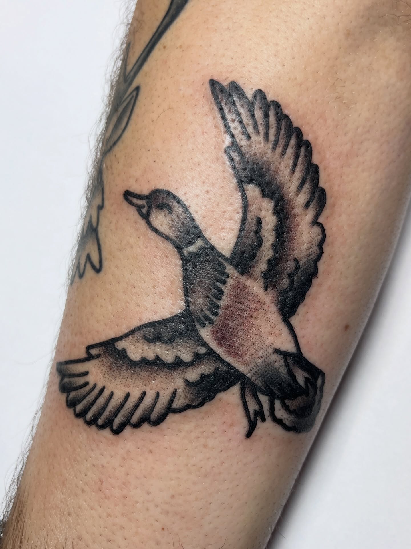 Tattoo by @ingrid_elaine — american_traditional