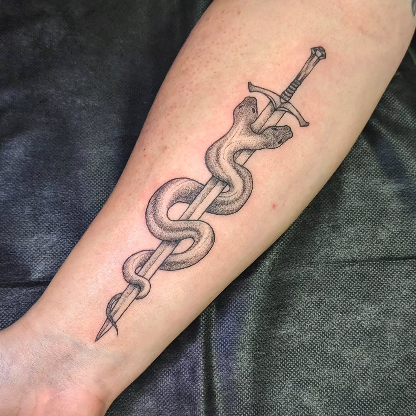 Snake and dagger black and grey tattoo on the forearm by robin ✨ portland tattoo artist
