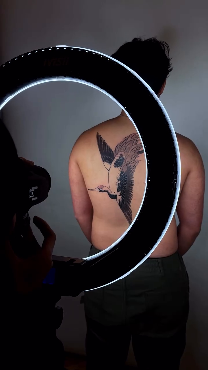 Crane japanese irezumi tattoo by Piao