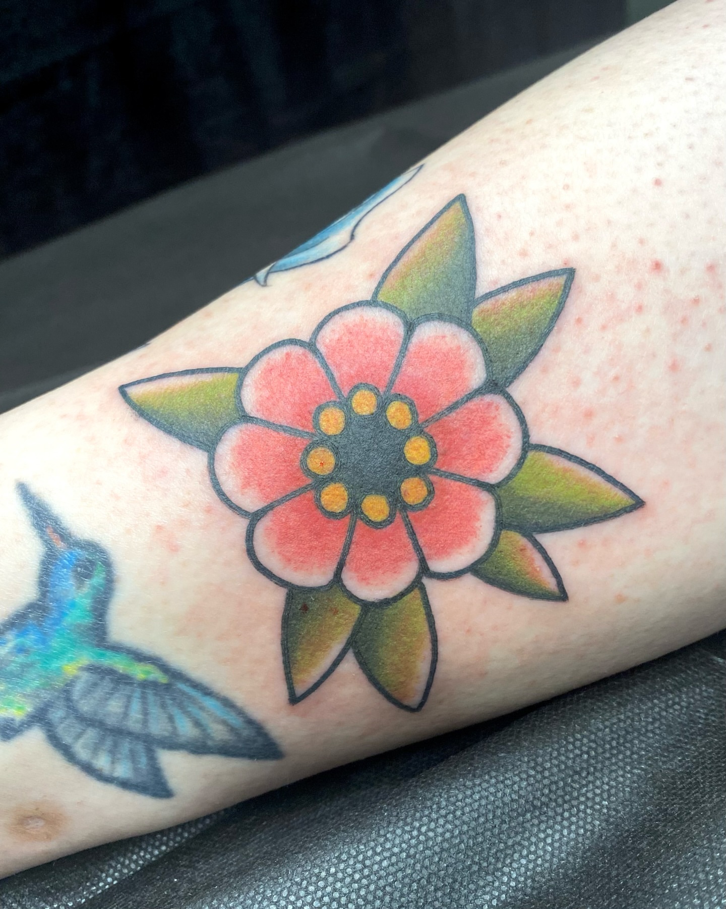 Tattoo by @sarahstabbies — american_traditional