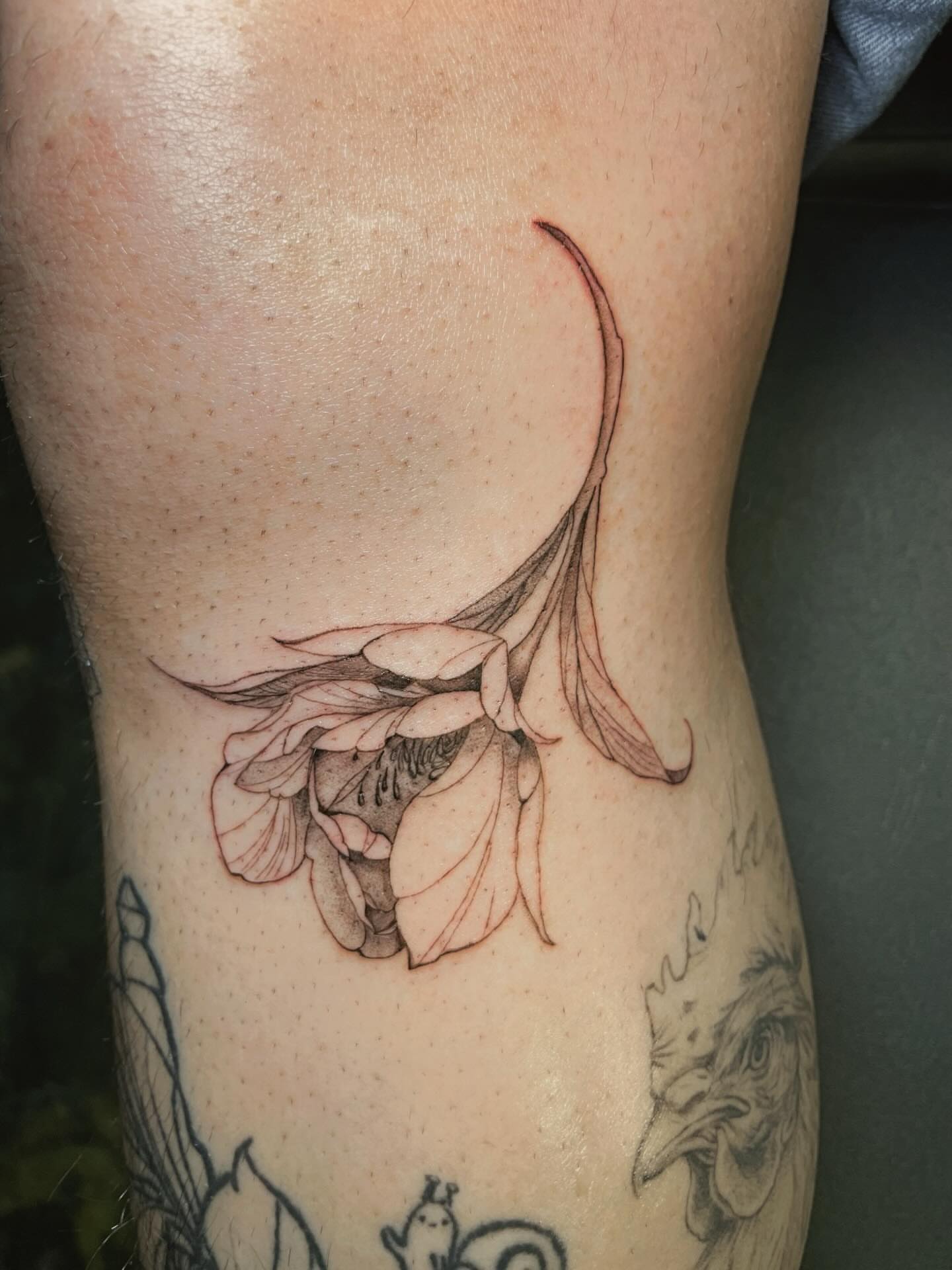 Lily realism tattoo on the thigh by 𝚃𝙰𝚃𝚃𝙾𝙾 𝙰𝚁𝚃𝙸𝚂𝚃, Charlotte, North Carolina