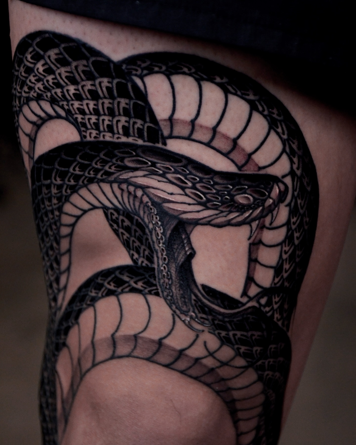 Snake black and grey tattoo on the thigh by Gary Zhong, Upland, California
