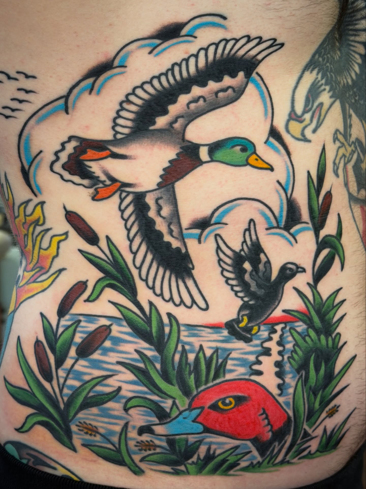Ducks and cattails American traditional tattoo on the ribs by 🌈KNOXVILLE’S FAVORITE TATTOO ARTIST 👽 마법 버섯