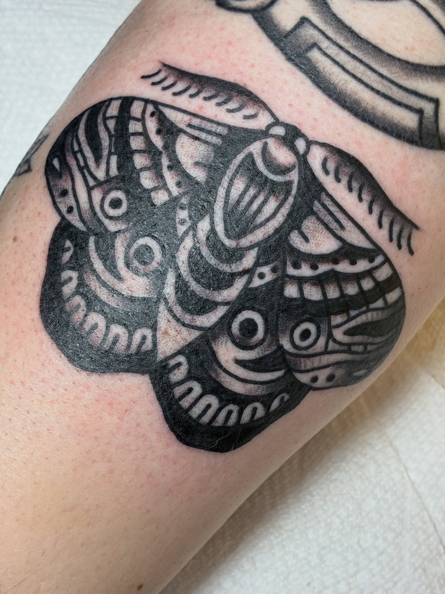 Elephant black and grey tattoo on the forearm by Sav Robinson